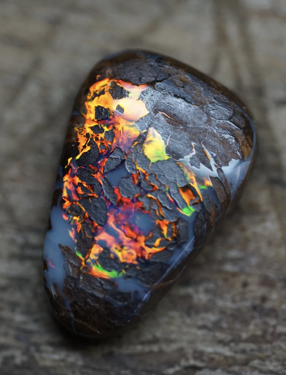 Solid Australian Opals - Opal Enthusiast