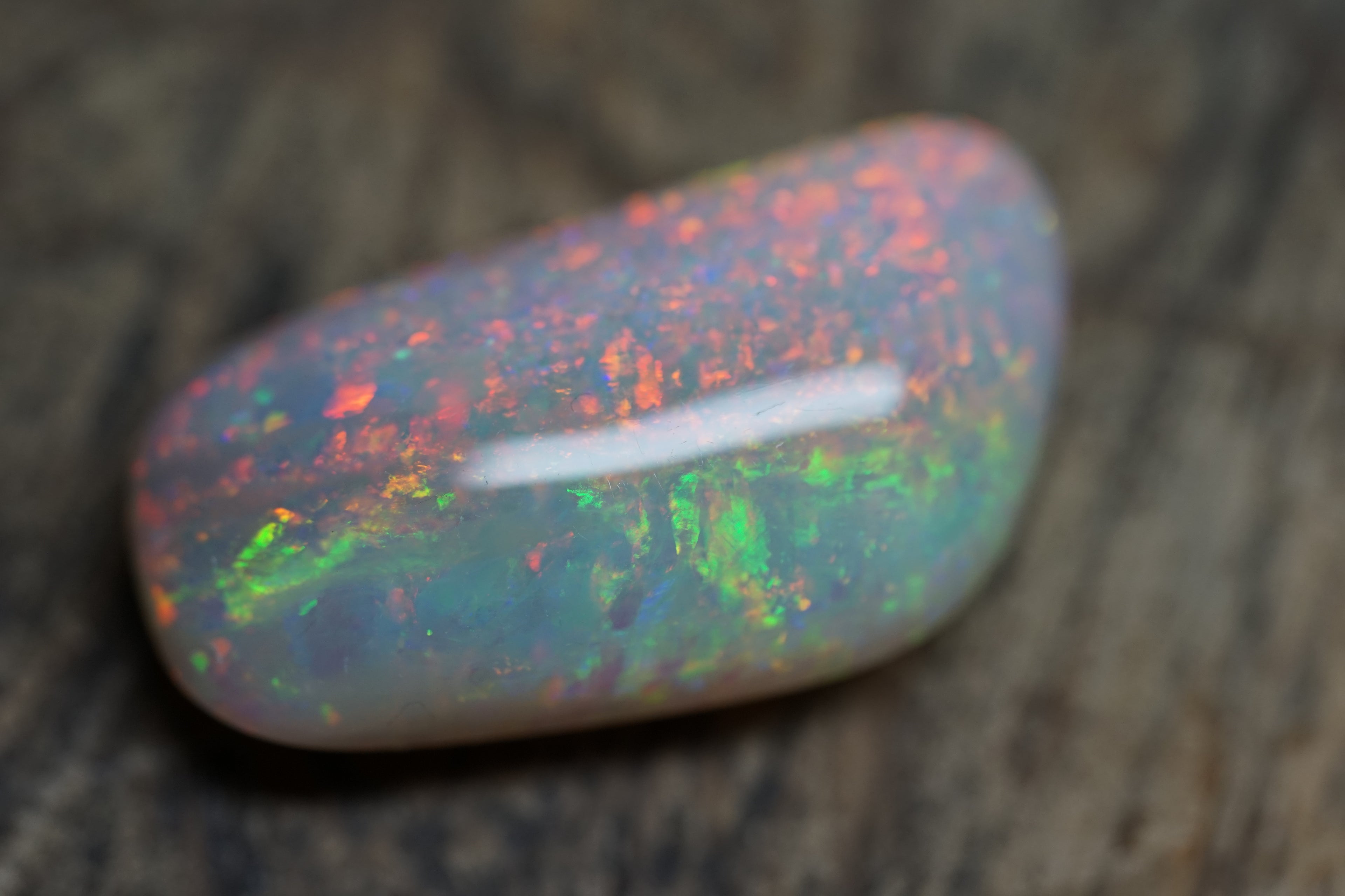 20 Carat Double Sided Lambina Gem Opal - 88