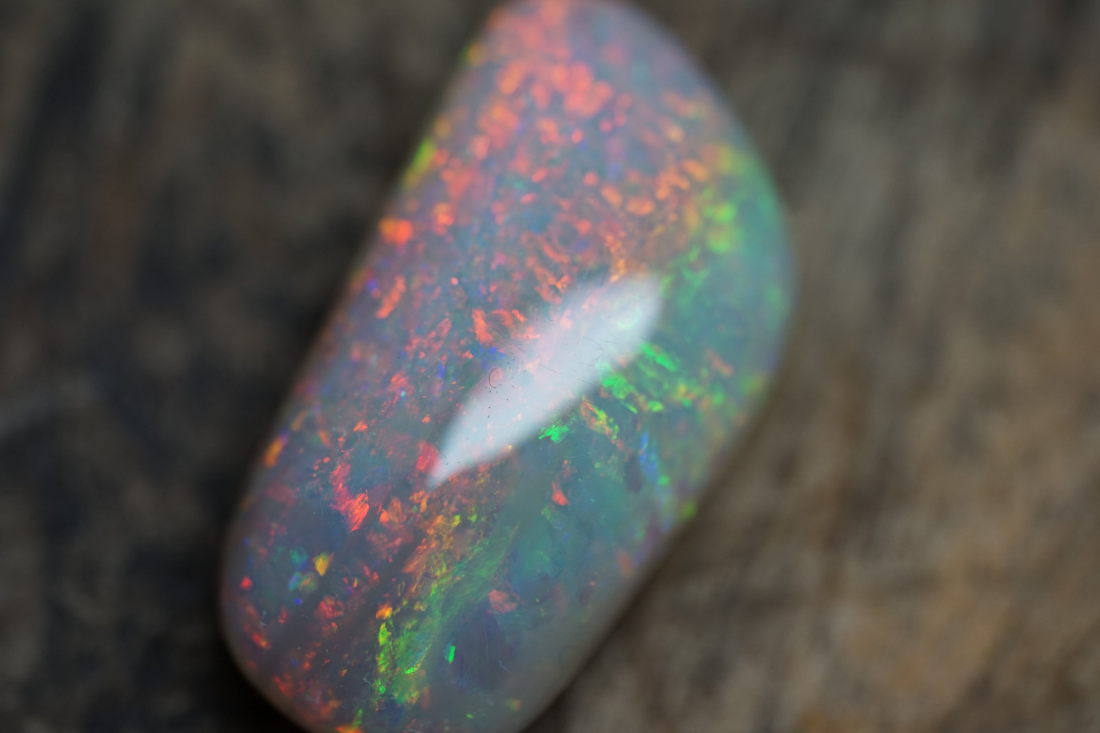20 Carat Double Sided Lambina Gem Opal - 88