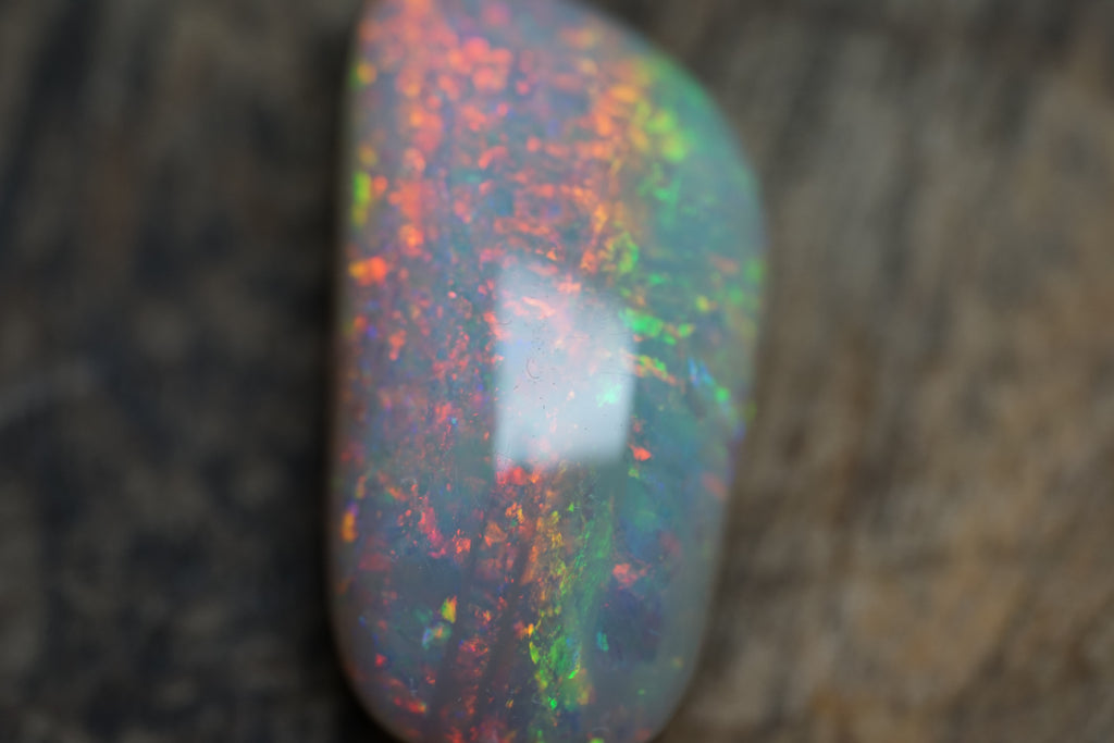 20 Carat Double Sided Lambina Gem Opal - 88