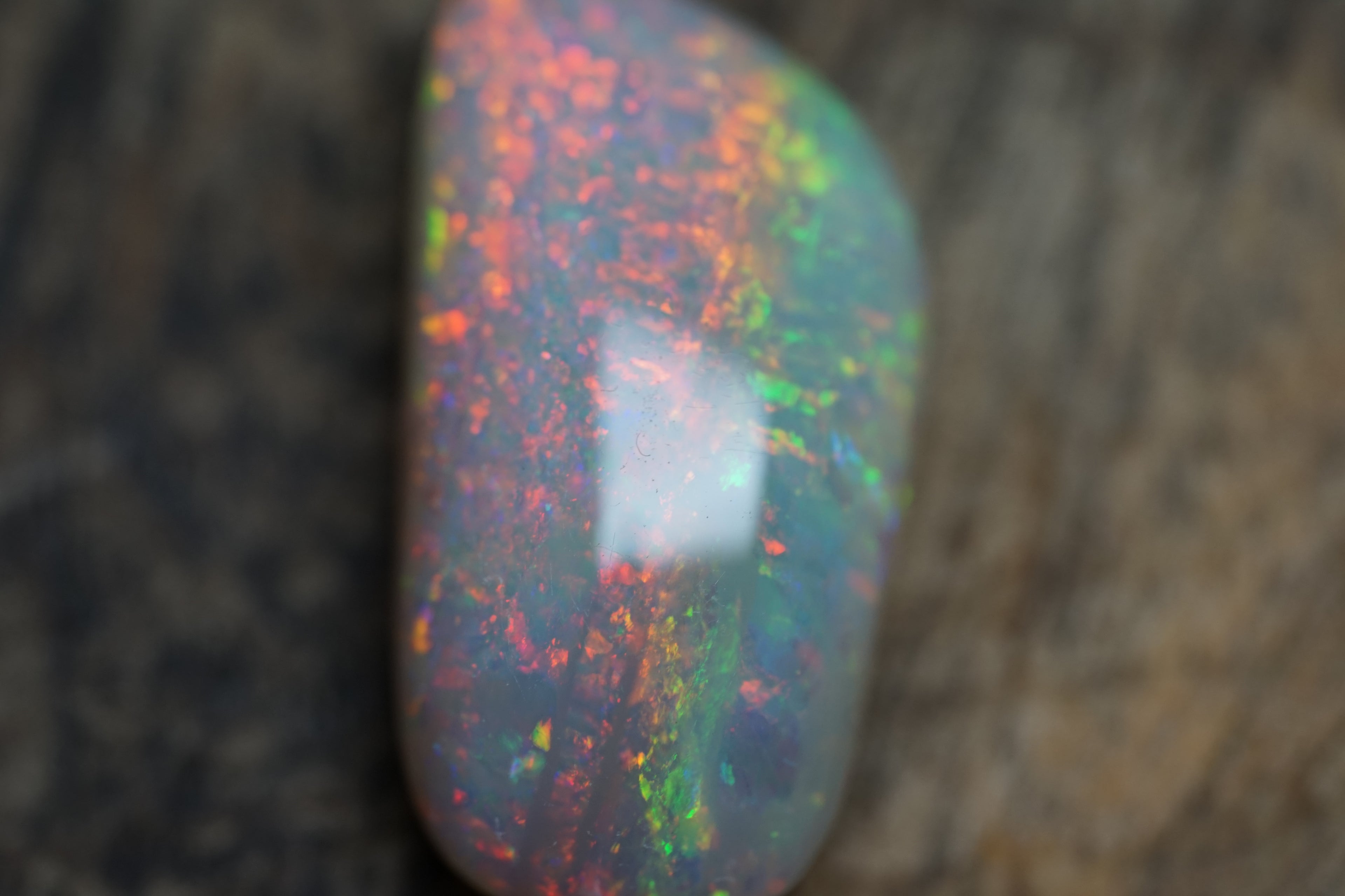 20 Carat Double Sided Lambina Gem Opal - 88