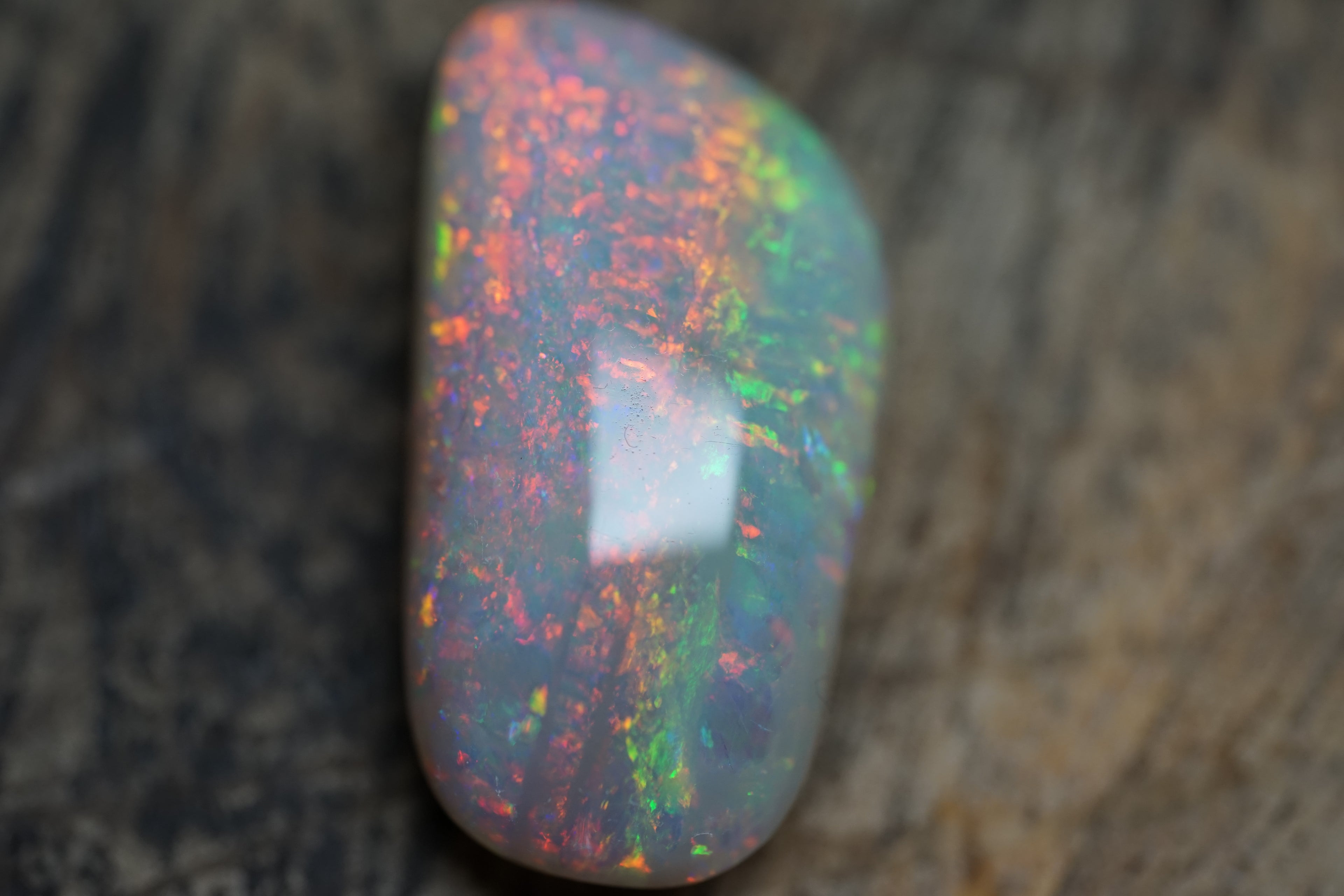 20 Carat Double Sided Lambina Gem Opal - 88