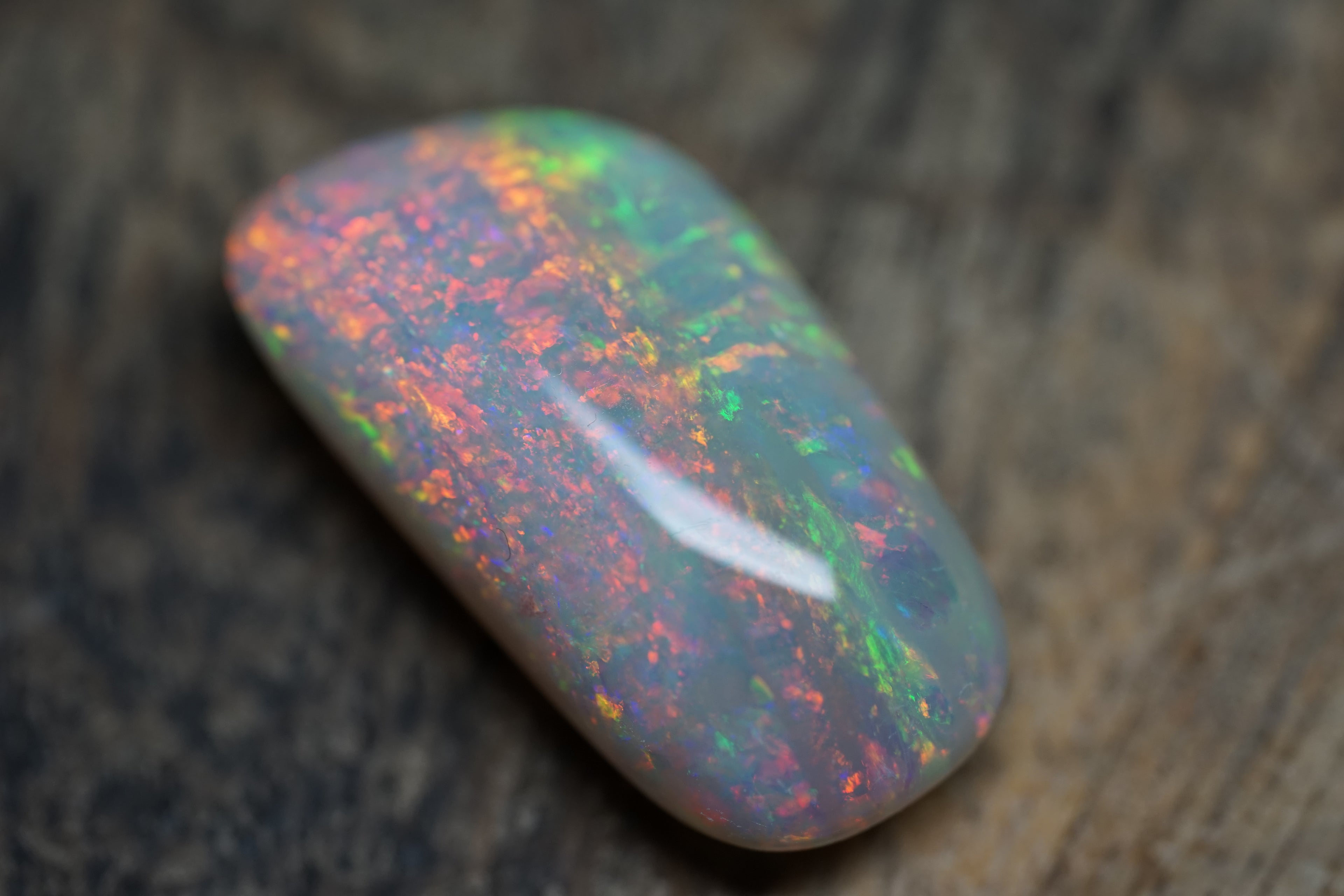 20 Carat Double Sided Lambina Gem Opal - 88