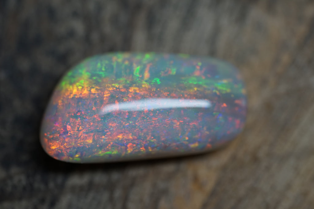 20 Carat Double Sided Lambina Gem Opal - 88