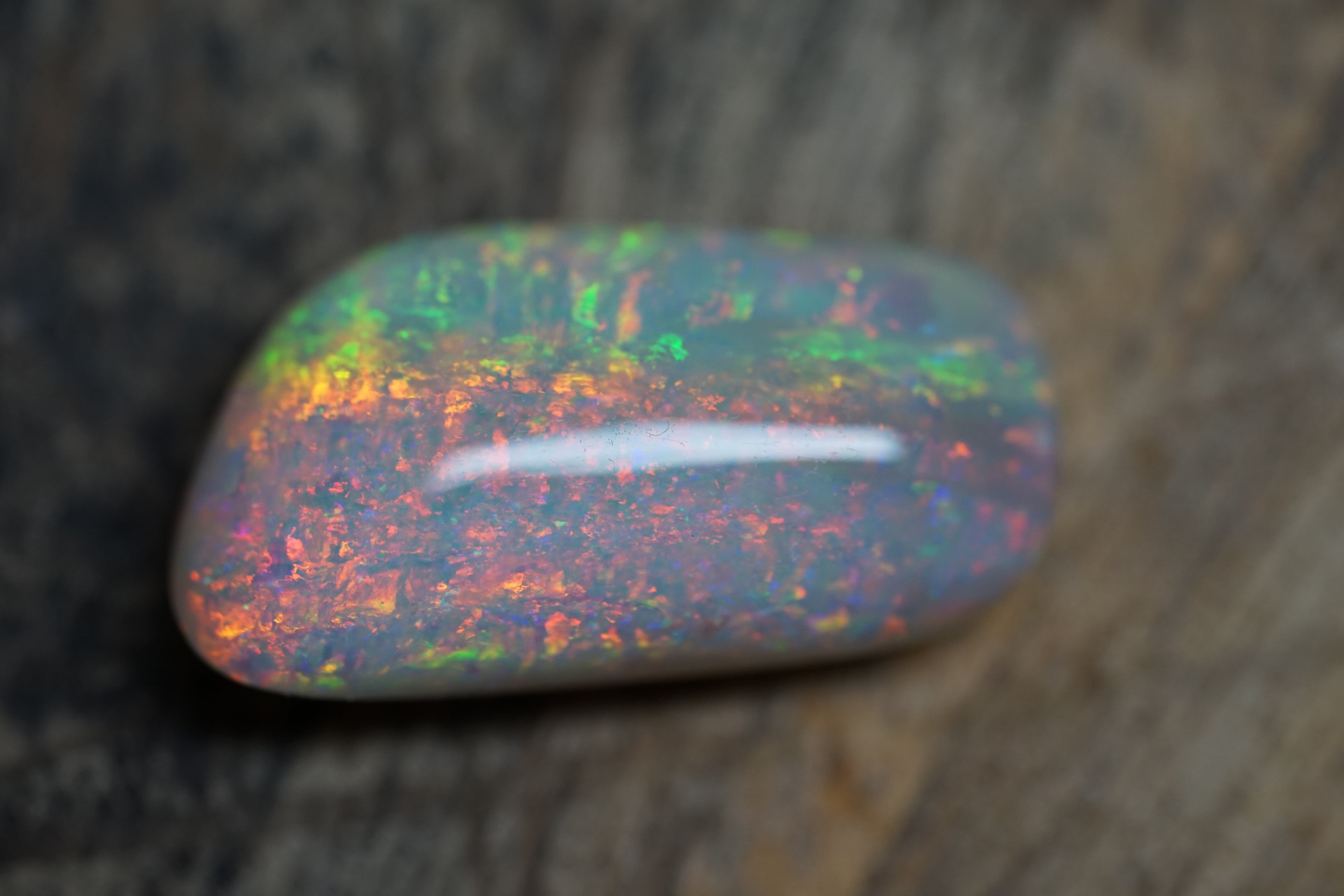 20 Carat Double Sided Lambina Gem Opal - 88