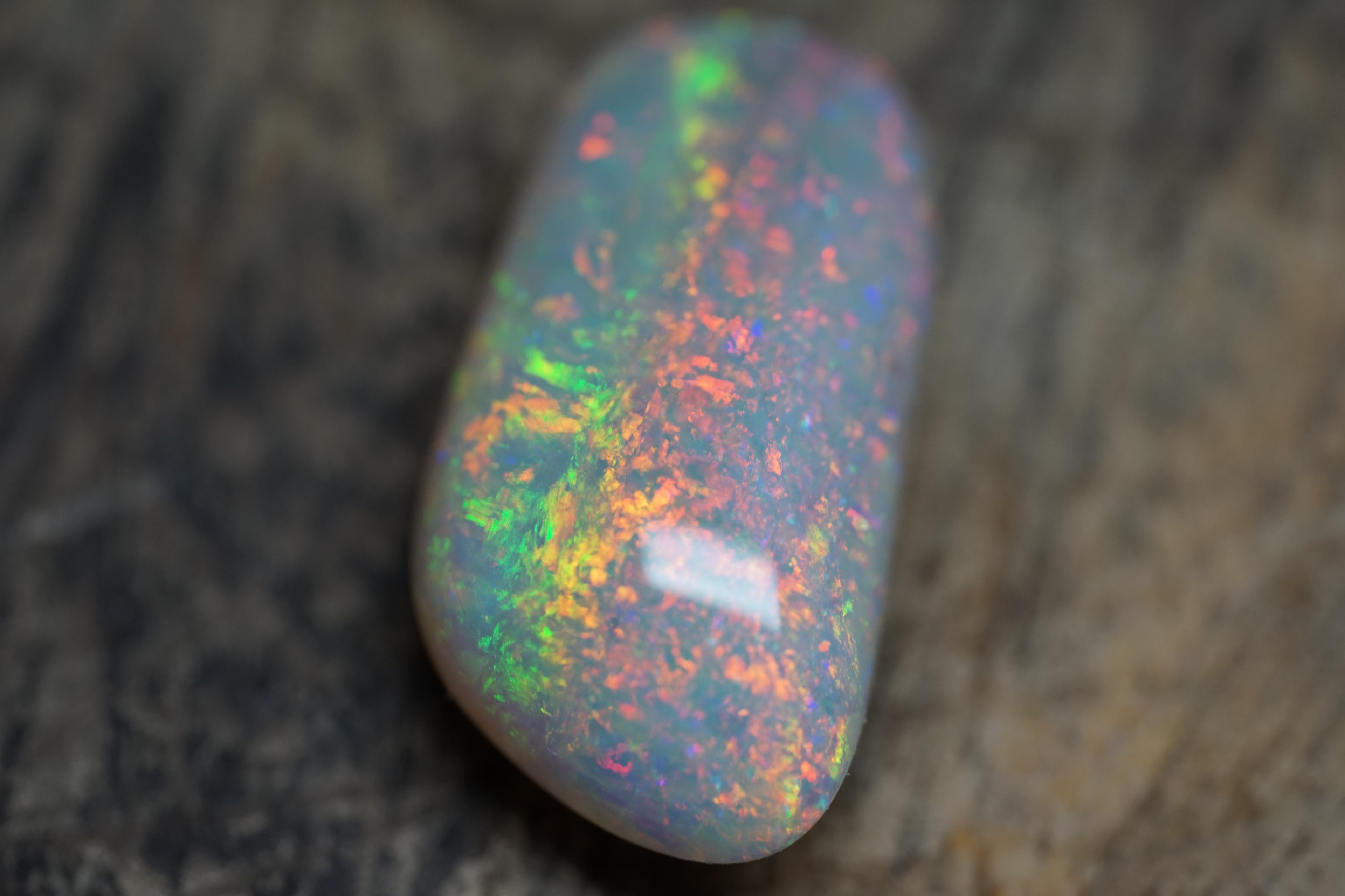 20 Carat Double Sided Lambina Gem Opal - 88
