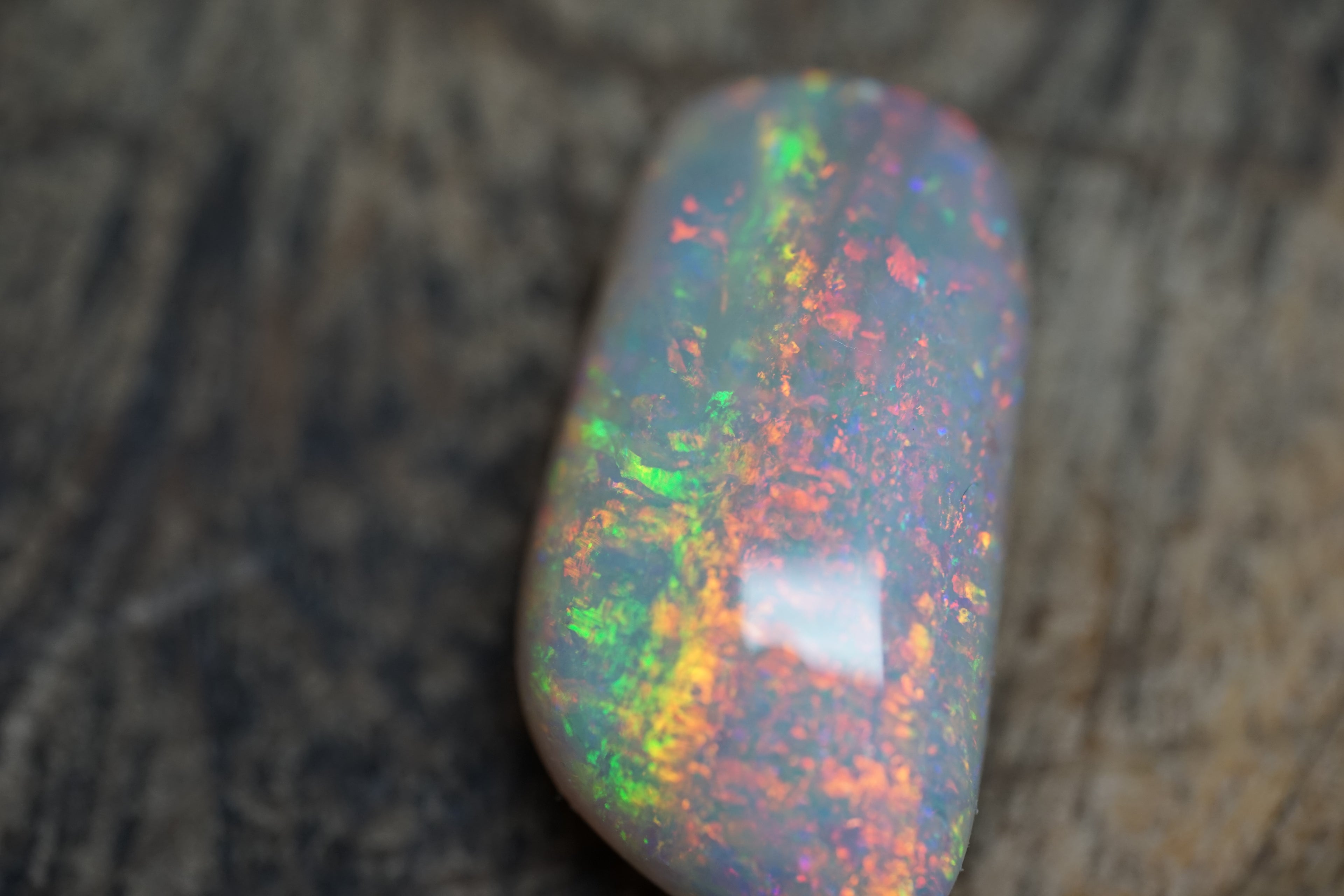20 Carat Double Sided Lambina Gem Opal - 88