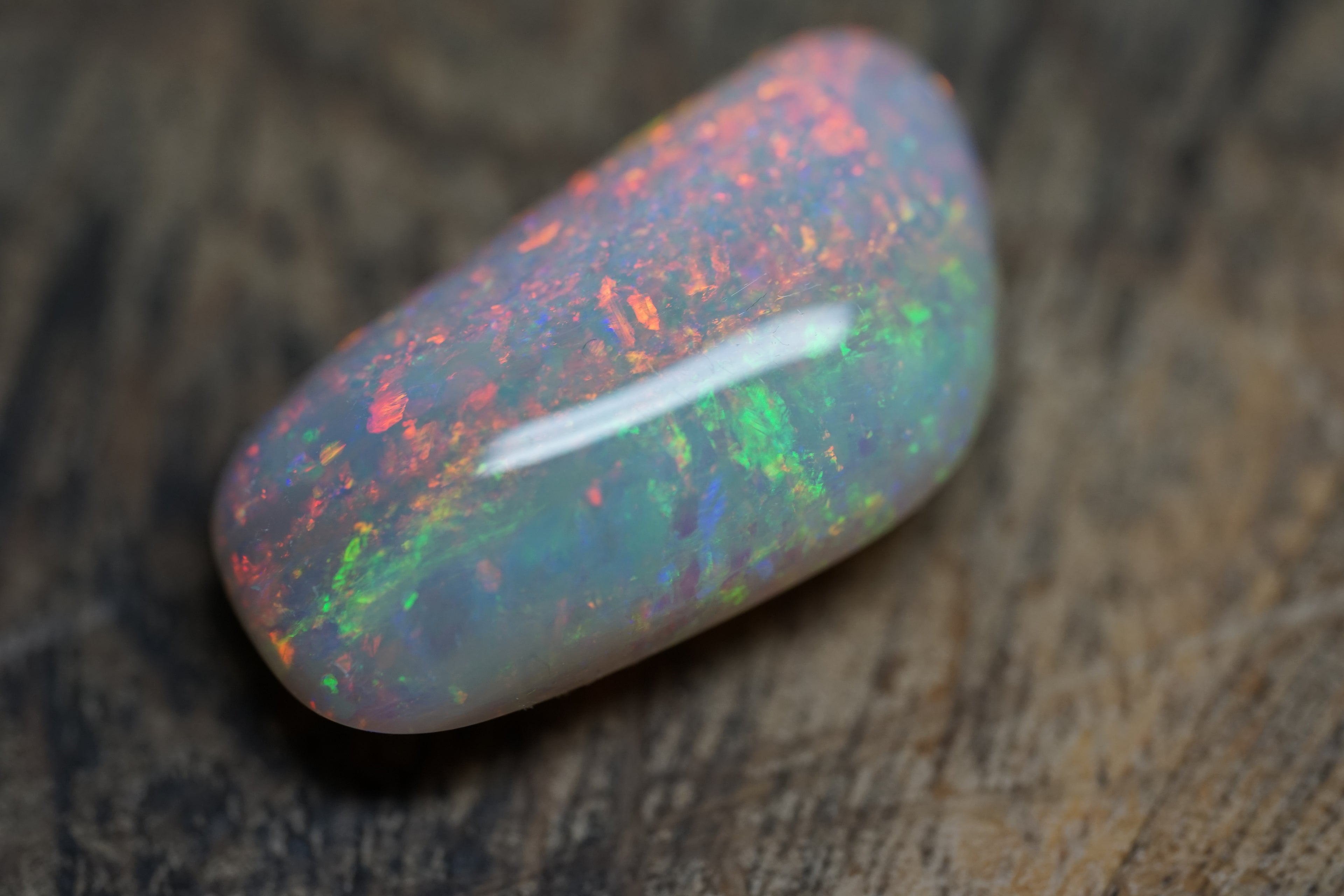 20 Carat Double Sided Lambina Gem Opal - 88