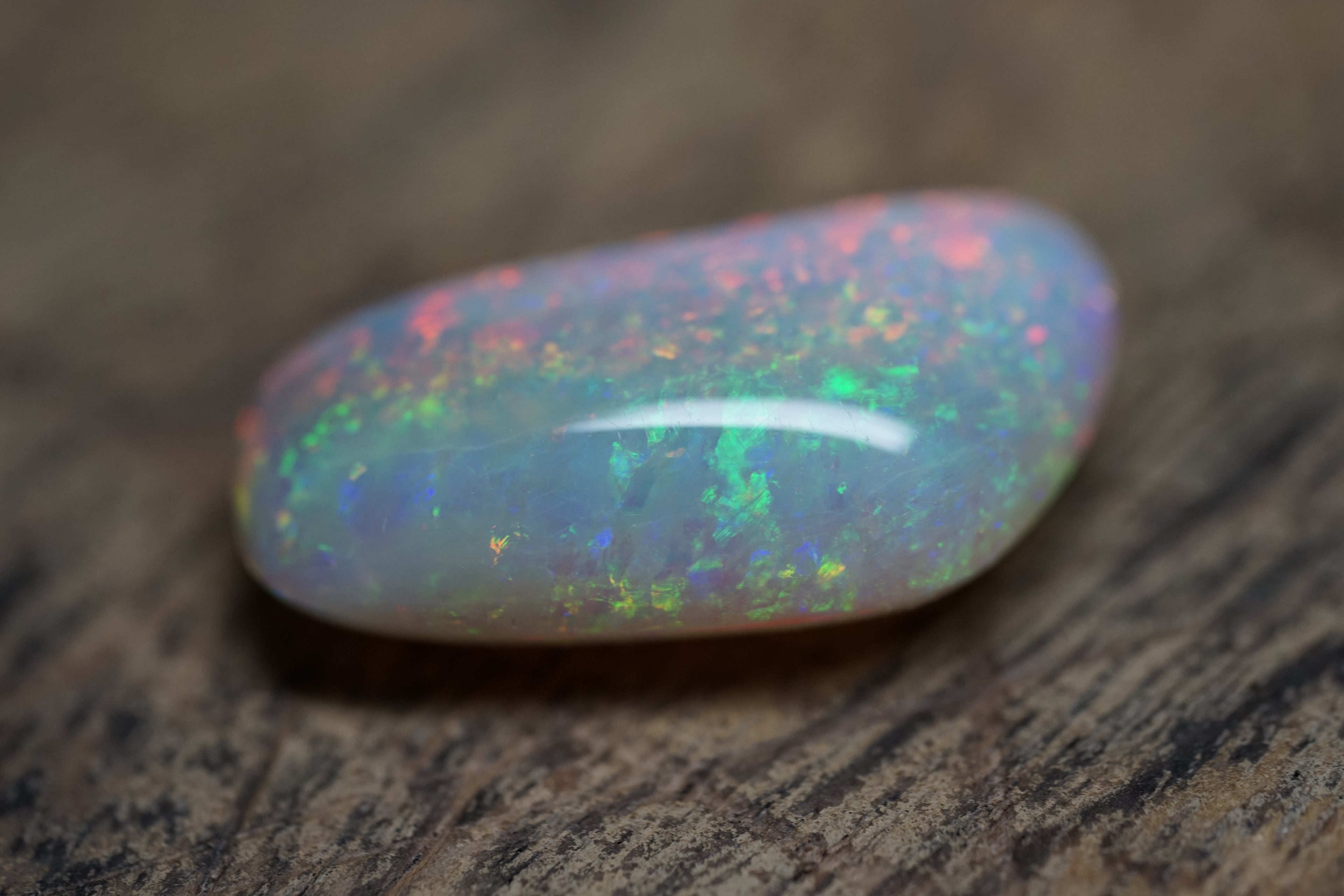 20 Carat Double Sided Lambina Gem Opal - 88