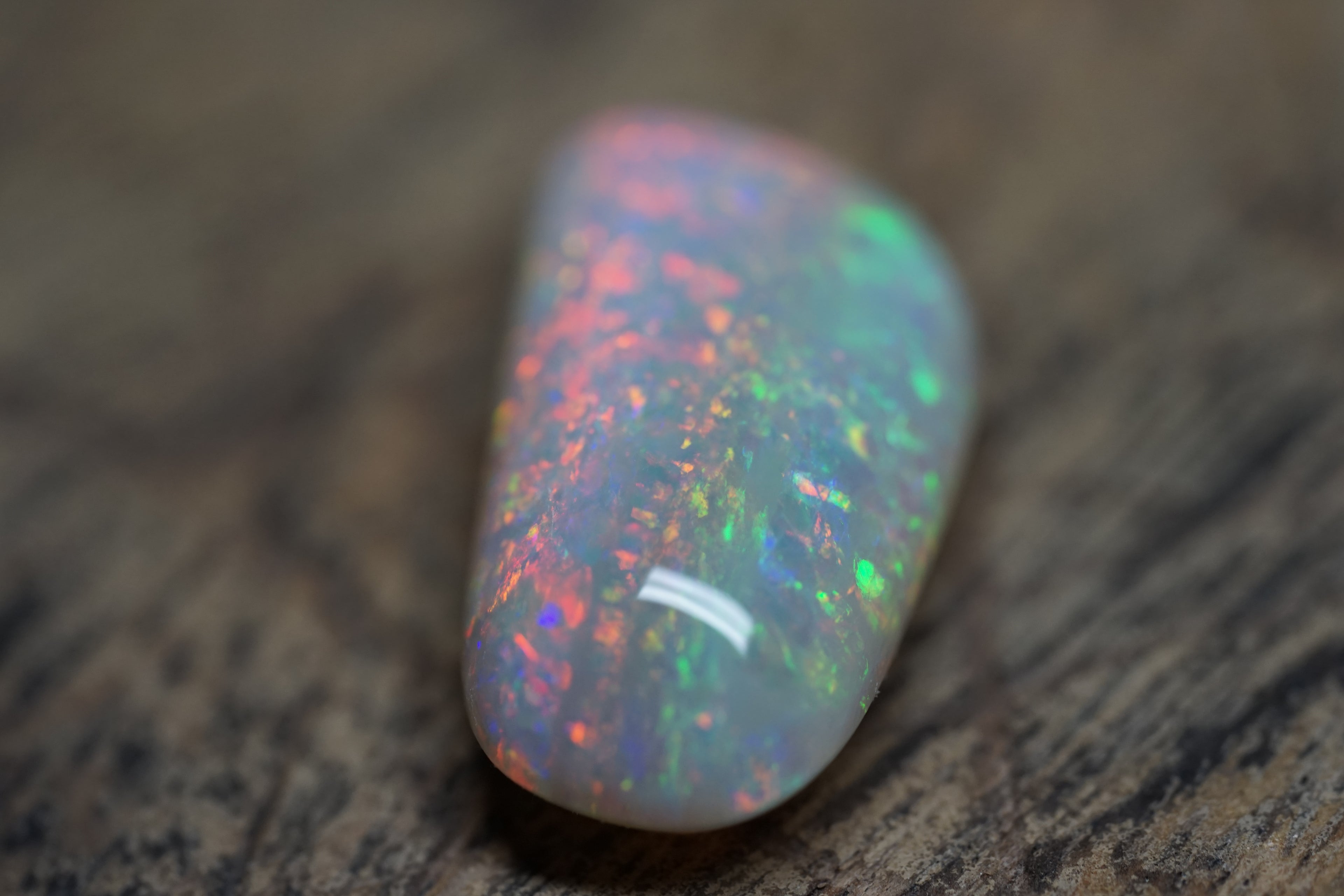 20 Carat Double Sided Lambina Gem Opal - 88