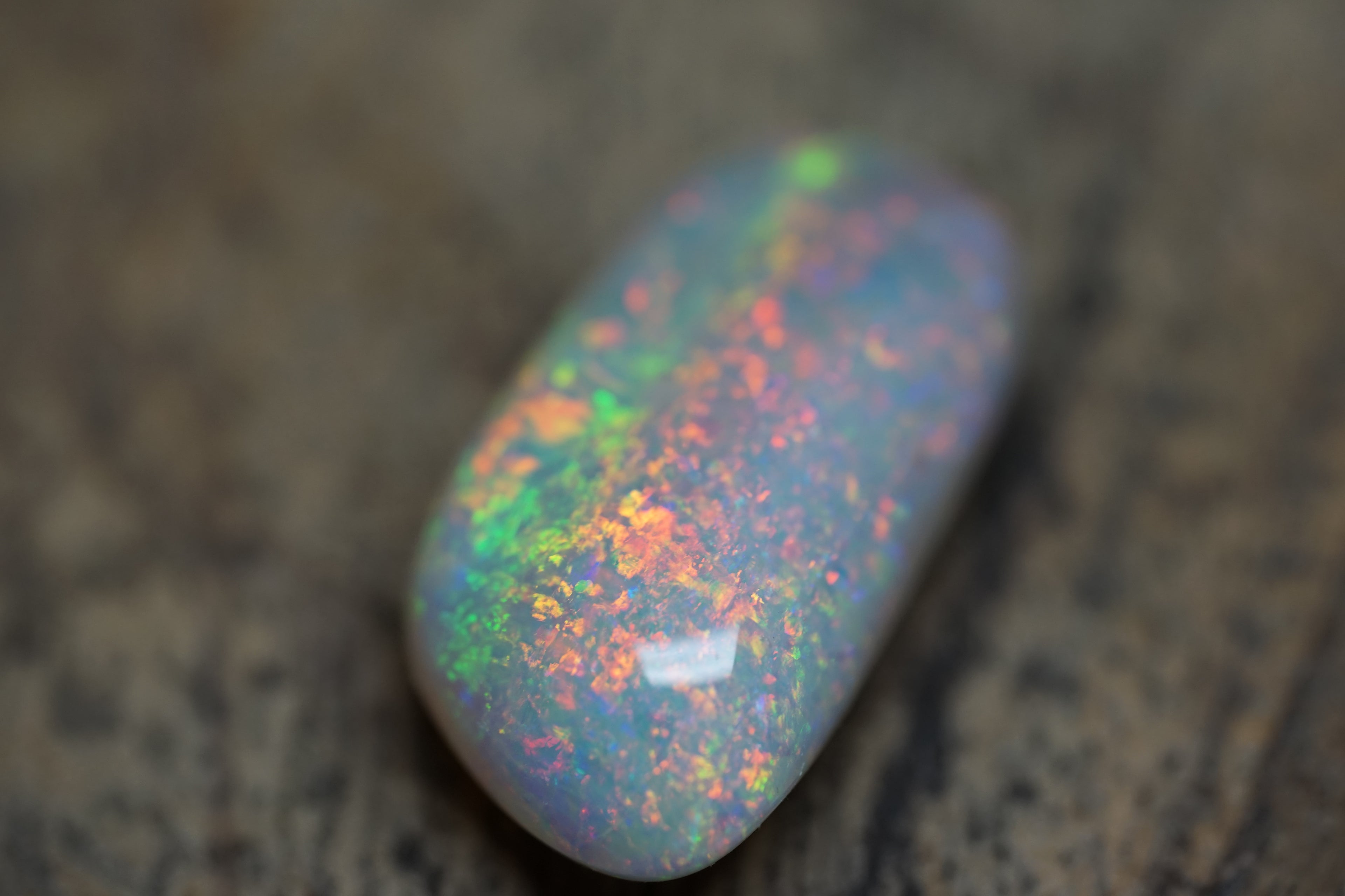 20 Carat Double Sided Lambina Gem Opal - 88