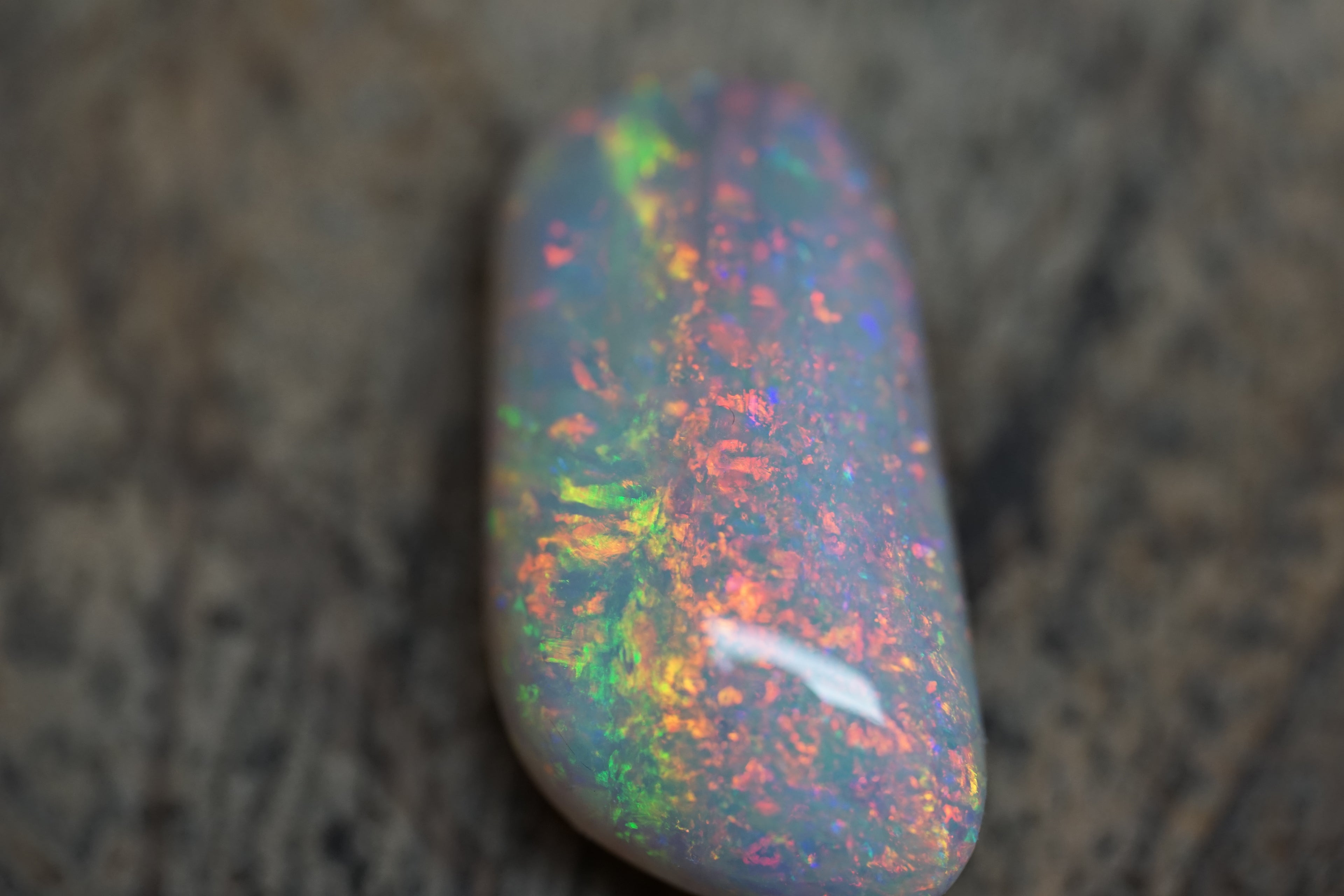 20 Carat Double Sided Lambina Gem Opal - 88