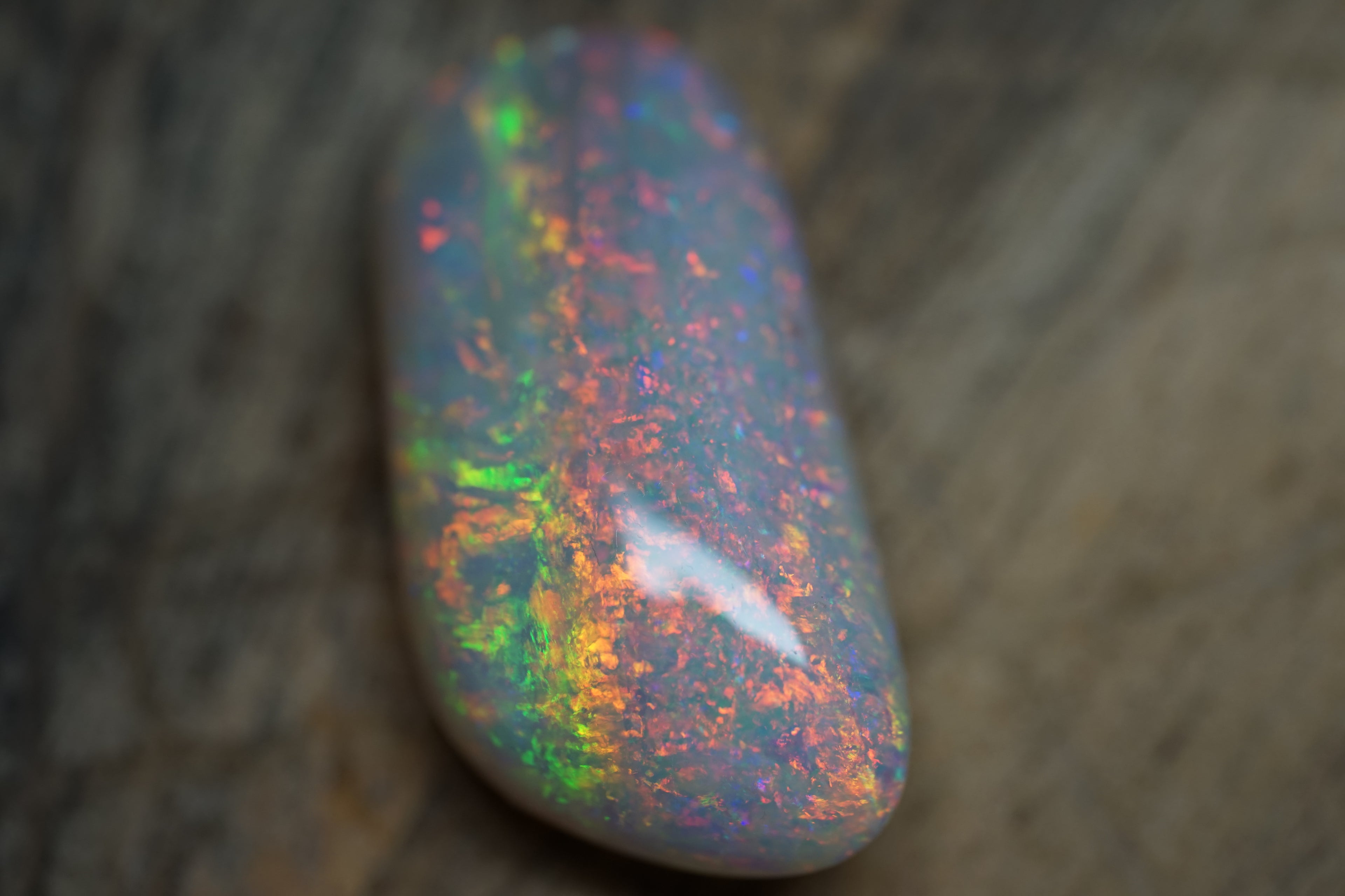 20 Carat Double Sided Lambina Gem Opal - 88