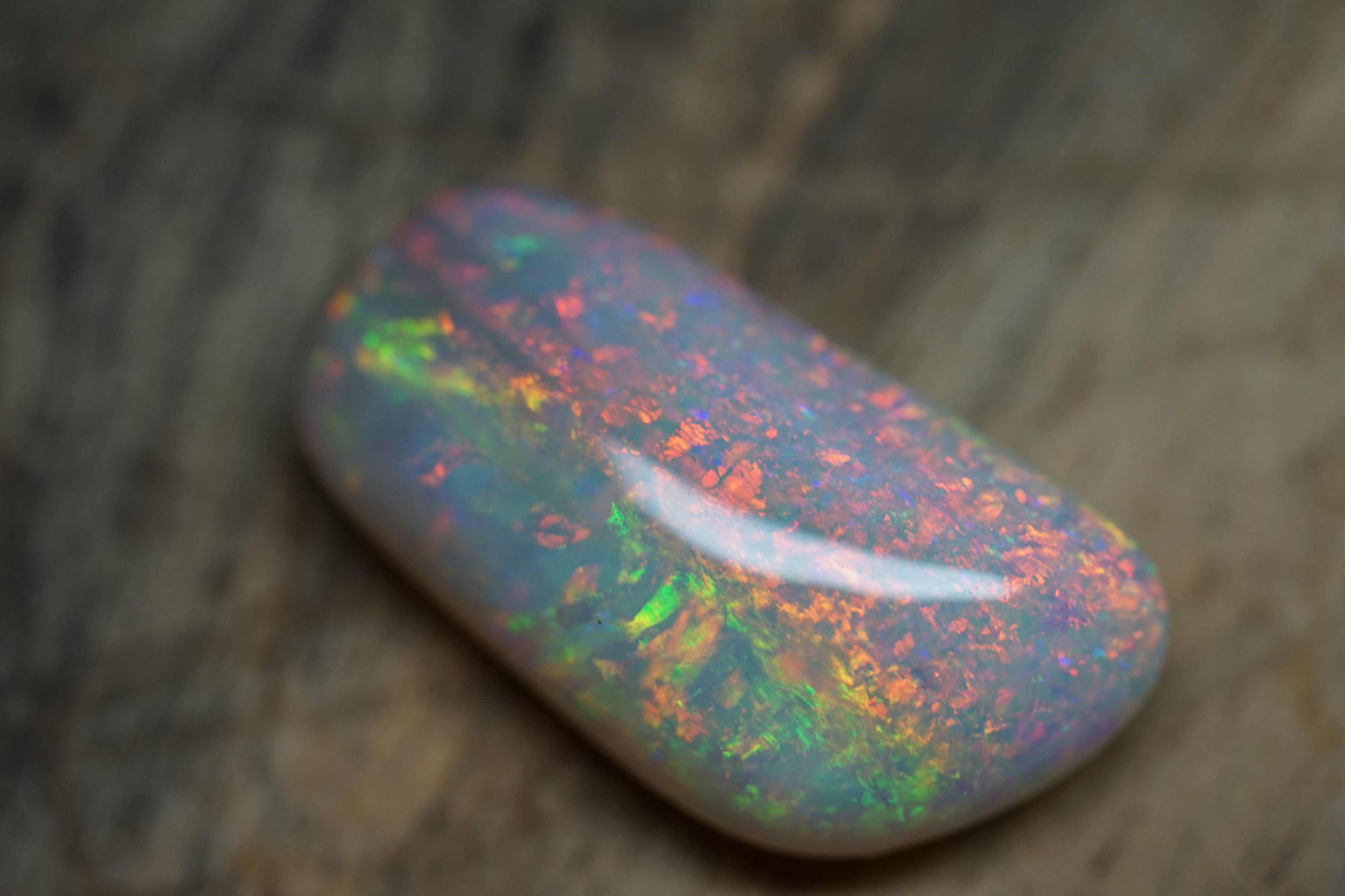 20 Carat Double Sided Lambina Gem Opal - 88