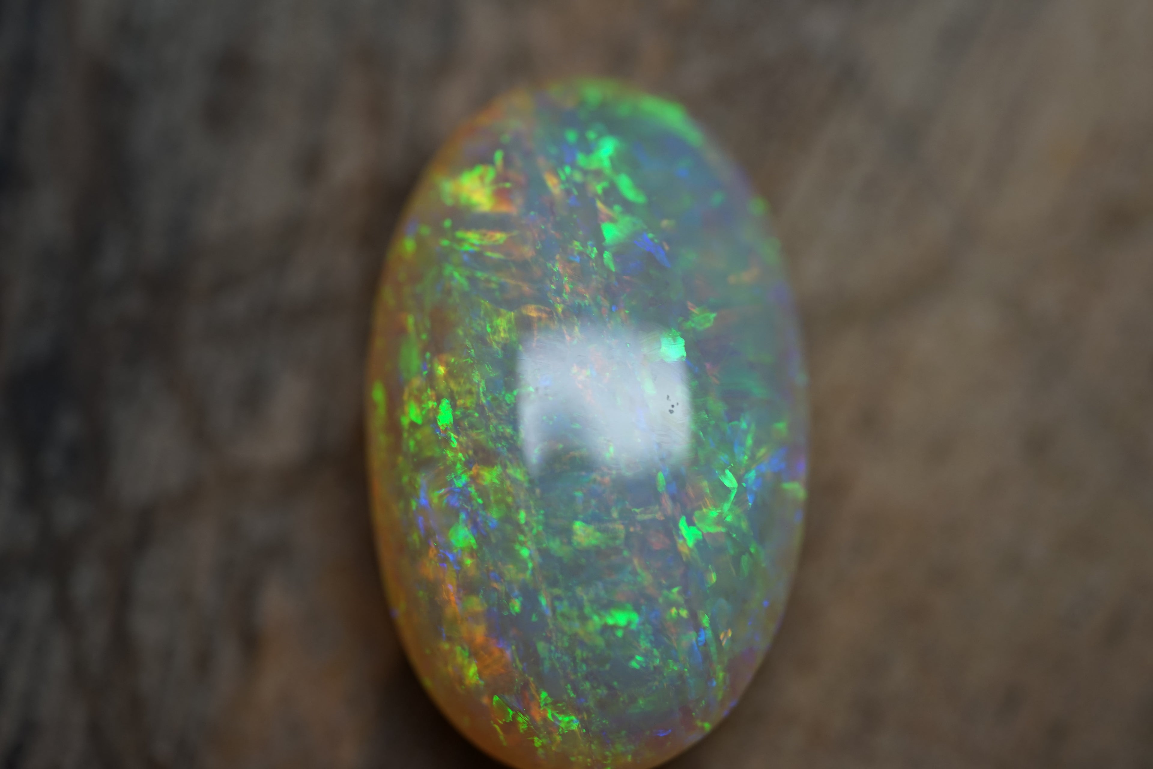 15 Carat Double Sided Gem Lambina Crystal Opal - 0091