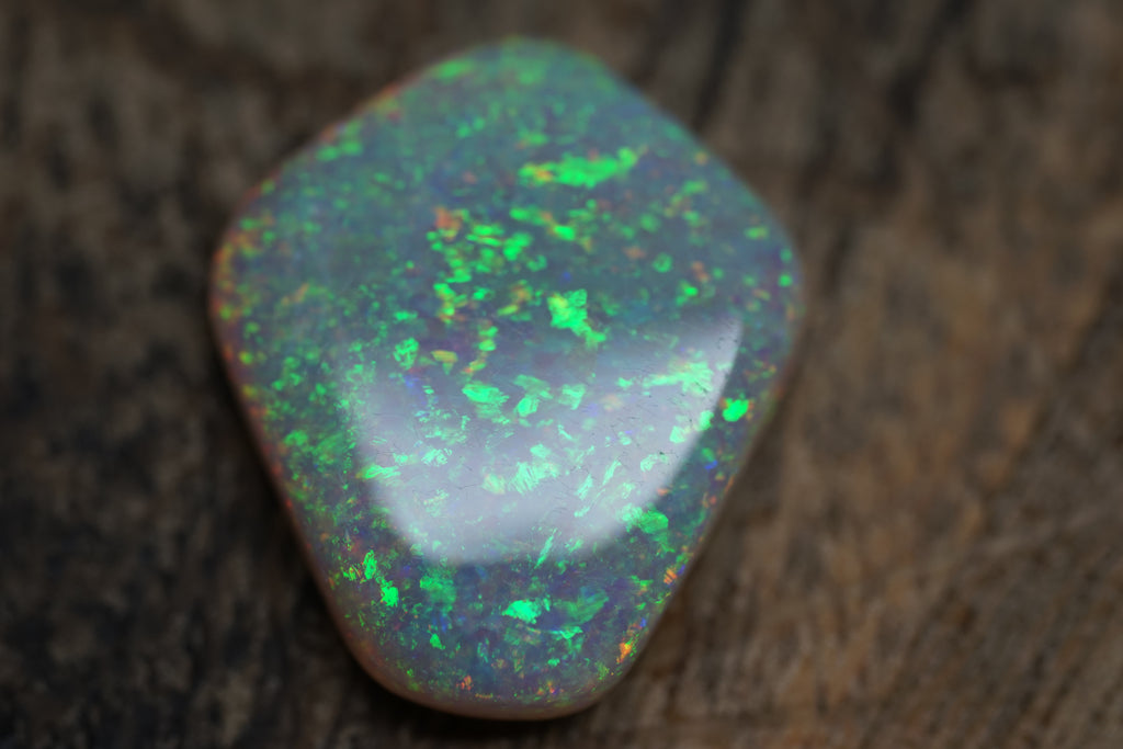 13.4 Carat Lambina Shield Gem Opal - 0092