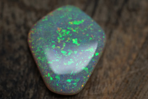 13.4 Carat Lambina Shield Gem Opal - 0092