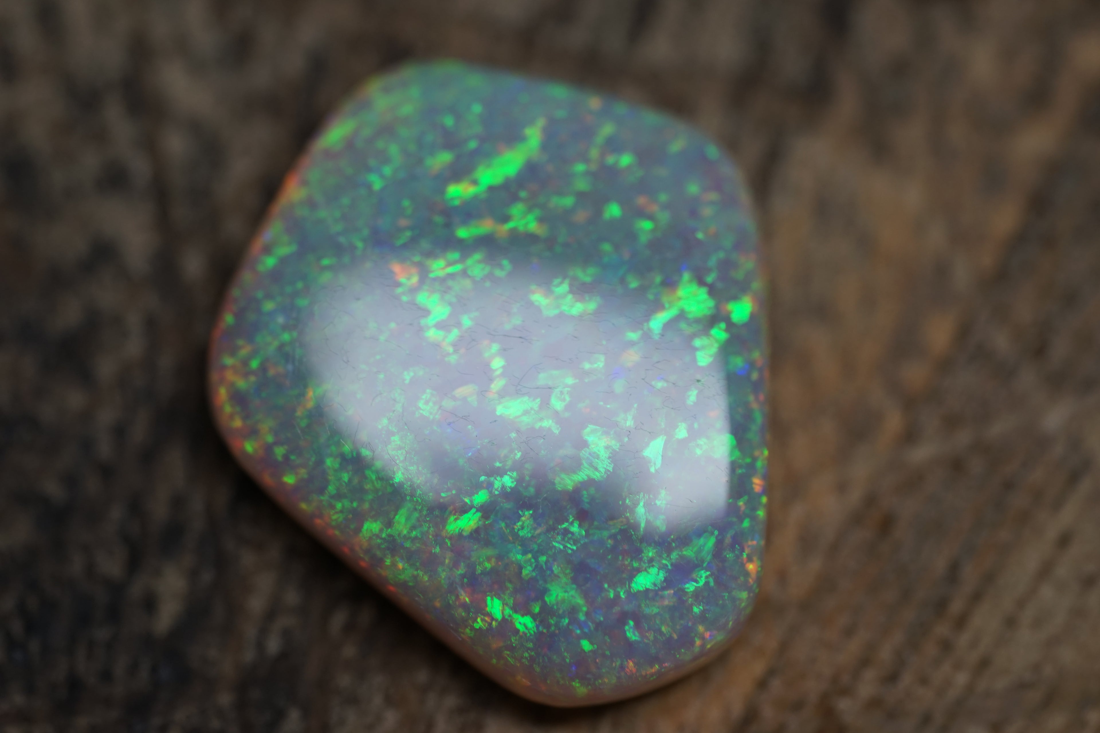 13.4 Carat Lambina Shield Gem Opal - 0092