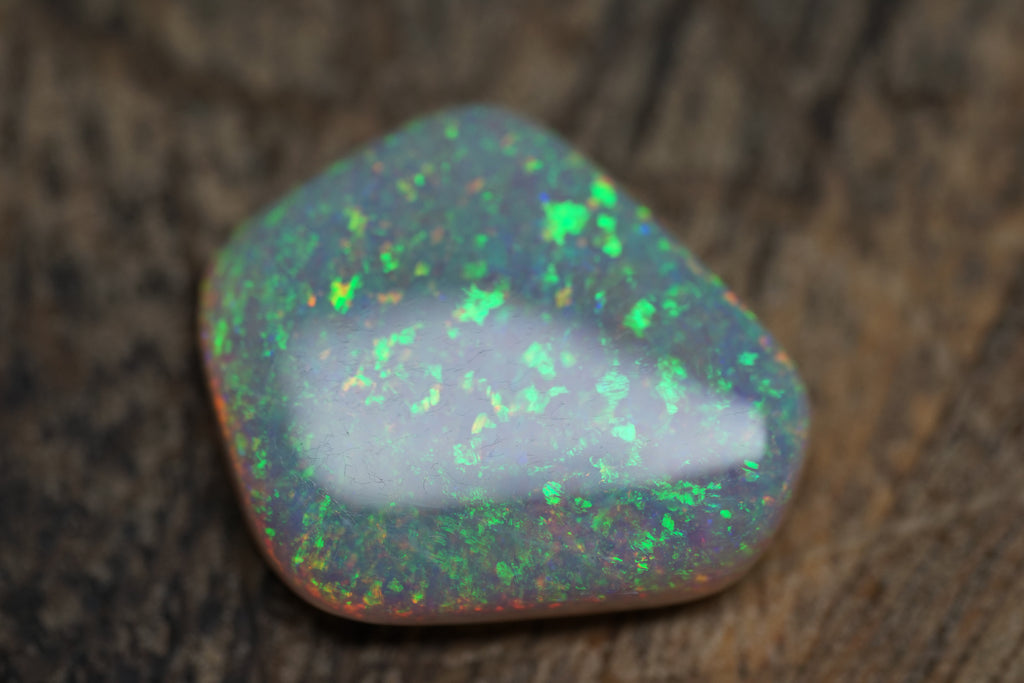 13.4 Carat Lambina Shield Gem Opal - 0092