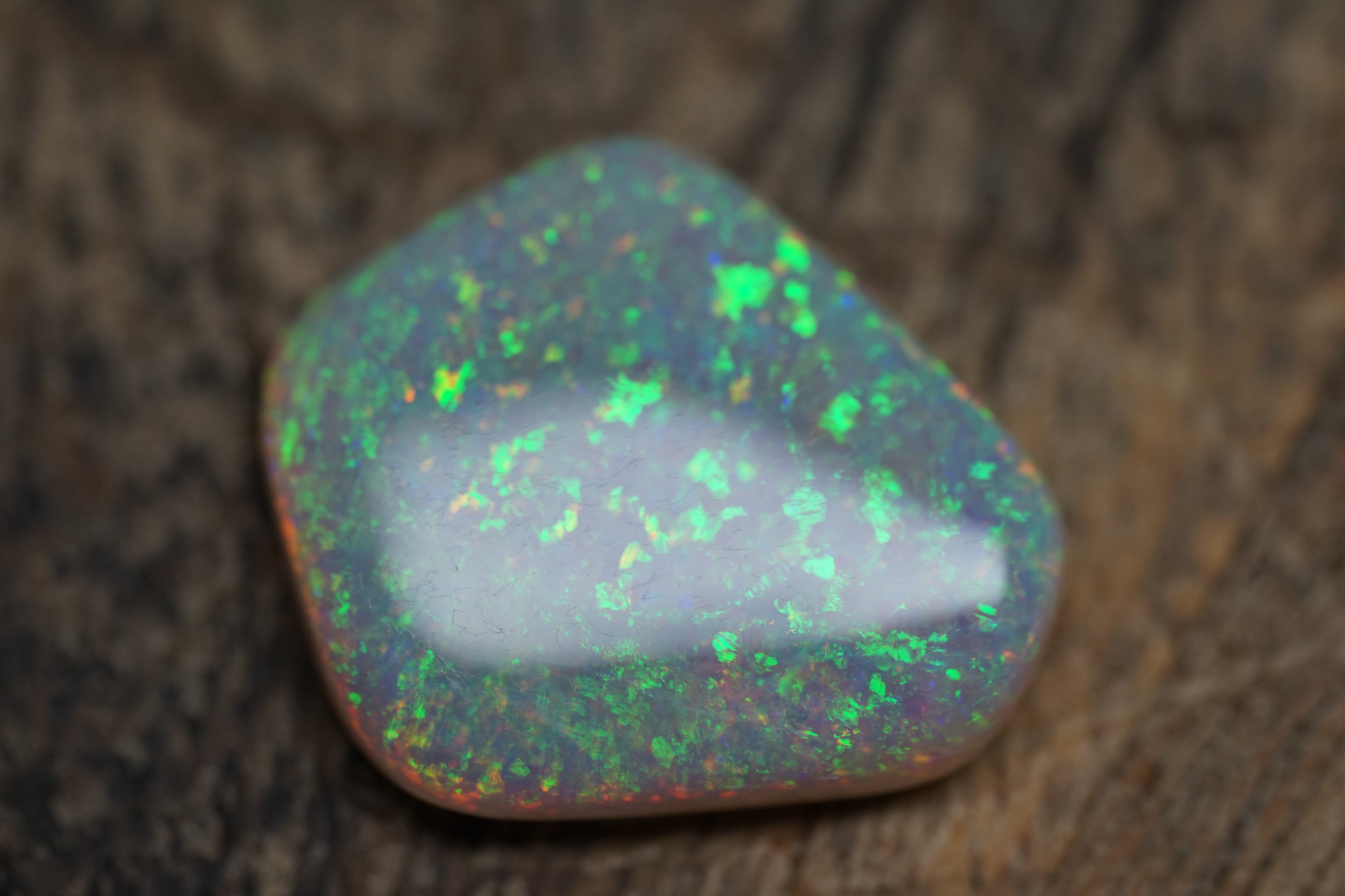 13.4 Carat Lambina Shield Gem Opal - 0092