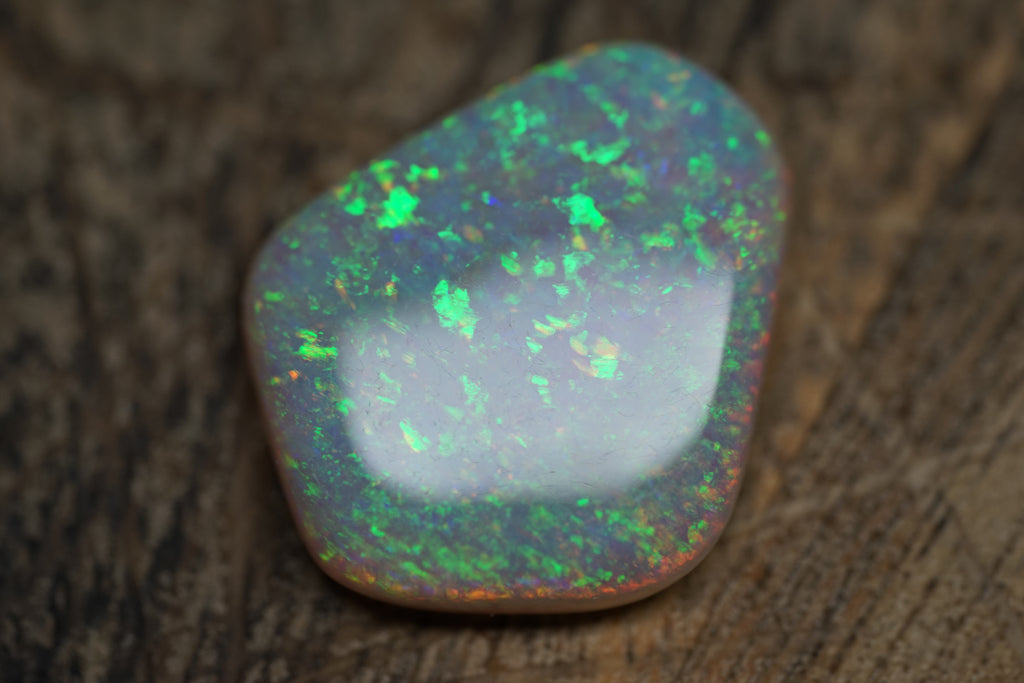 13.4 Carat Lambina Shield Gem Opal - 0092