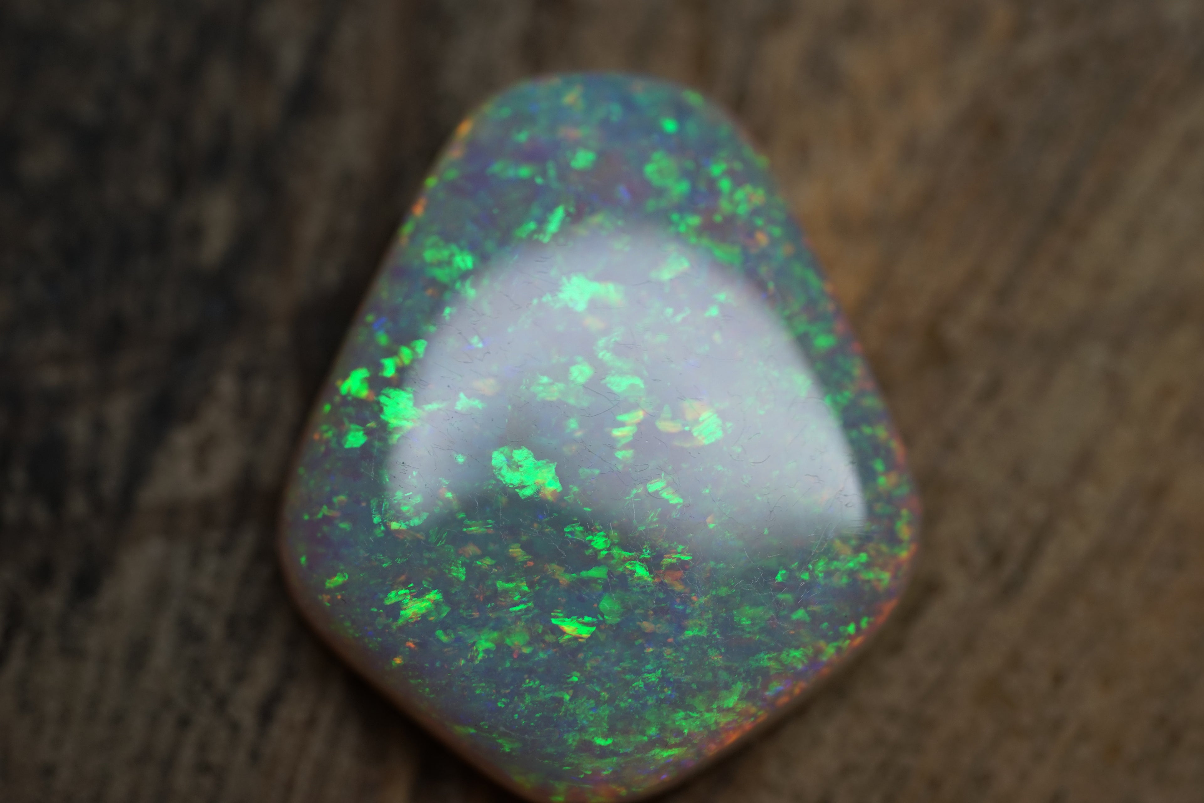 13.4 Carat Lambina Shield Gem Opal - 0092
