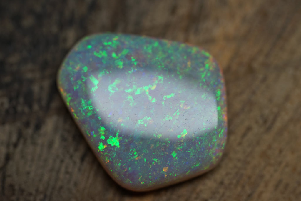 13.4 Carat Lambina Shield Gem Opal - 0092
