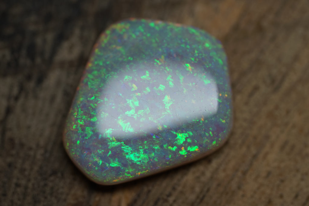 13.4 Carat Lambina Shield Gem Opal - 0092
