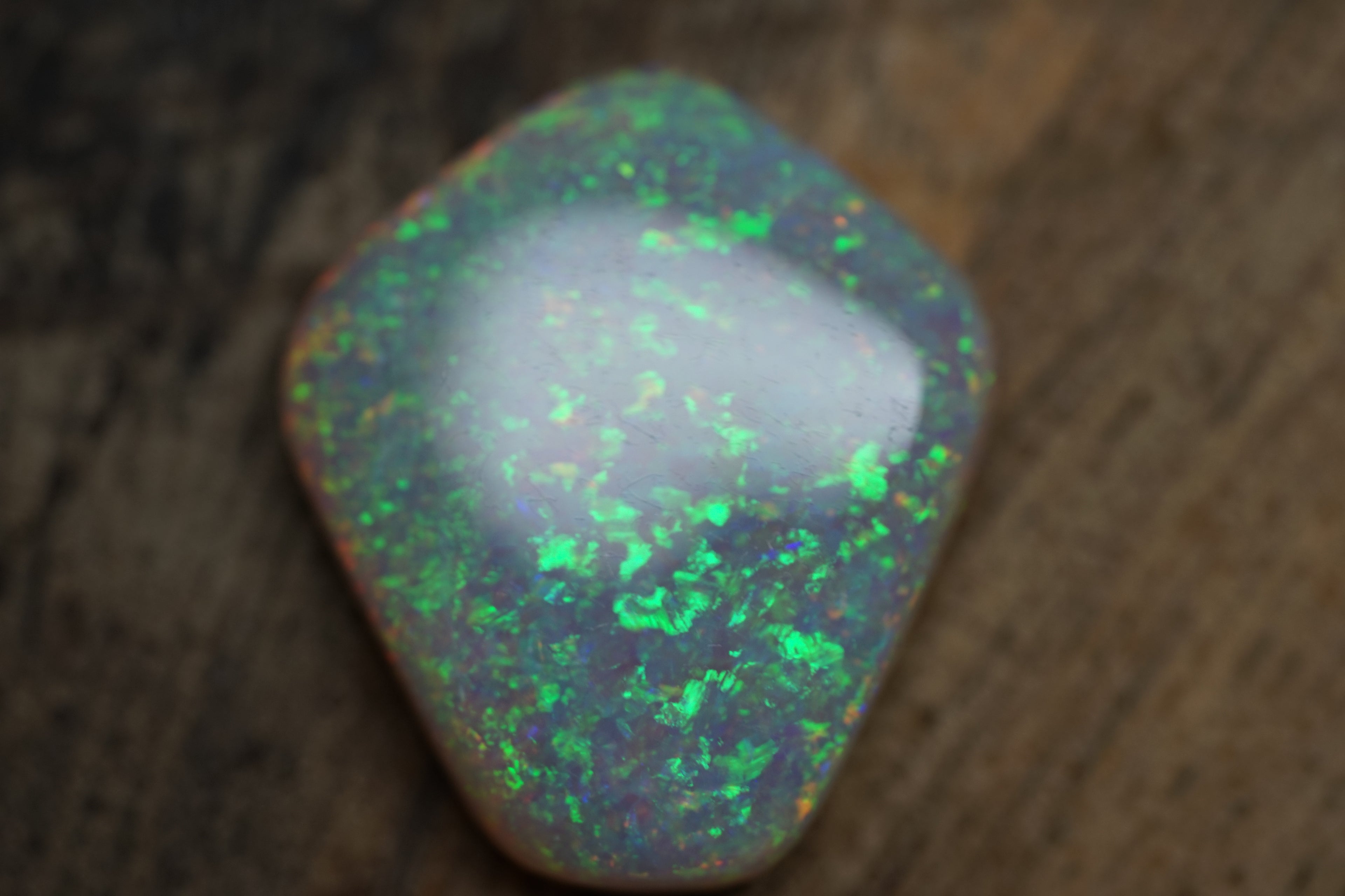 13.4 Carat Lambina Shield Gem Opal - 0092