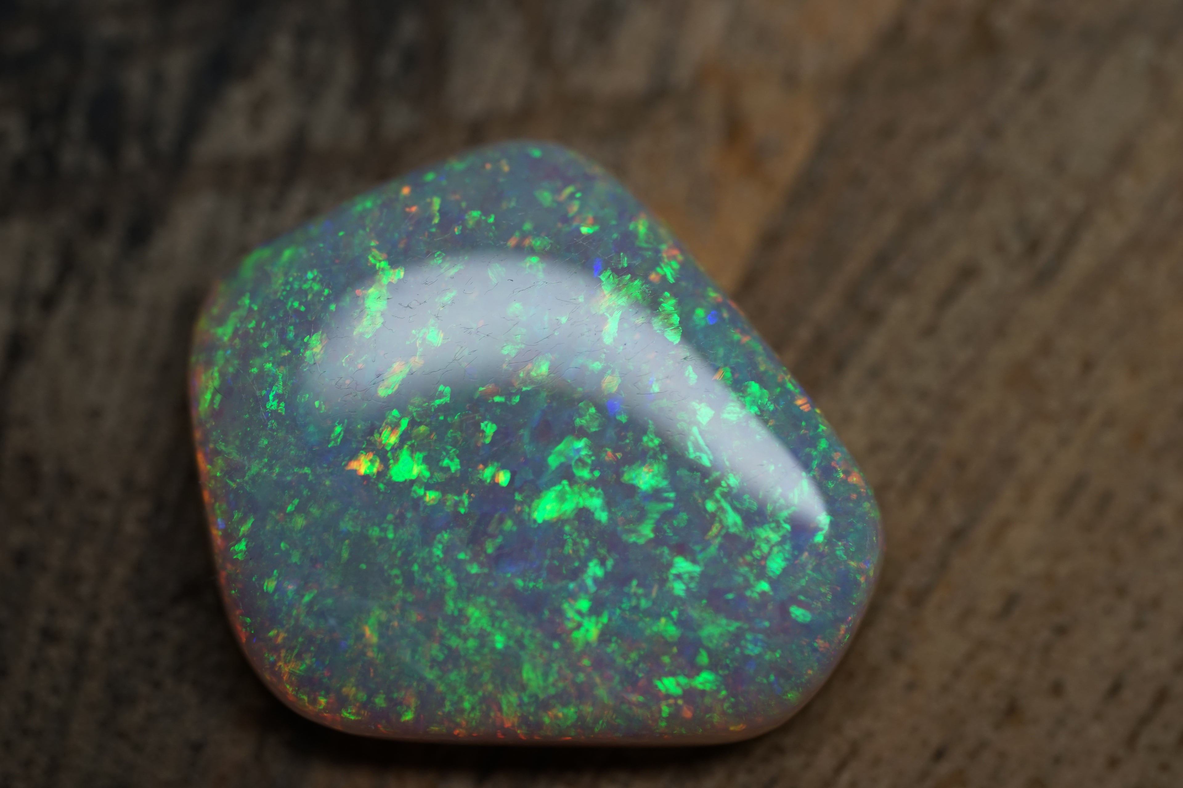 13.4 Carat Lambina Shield Gem Opal - 0092