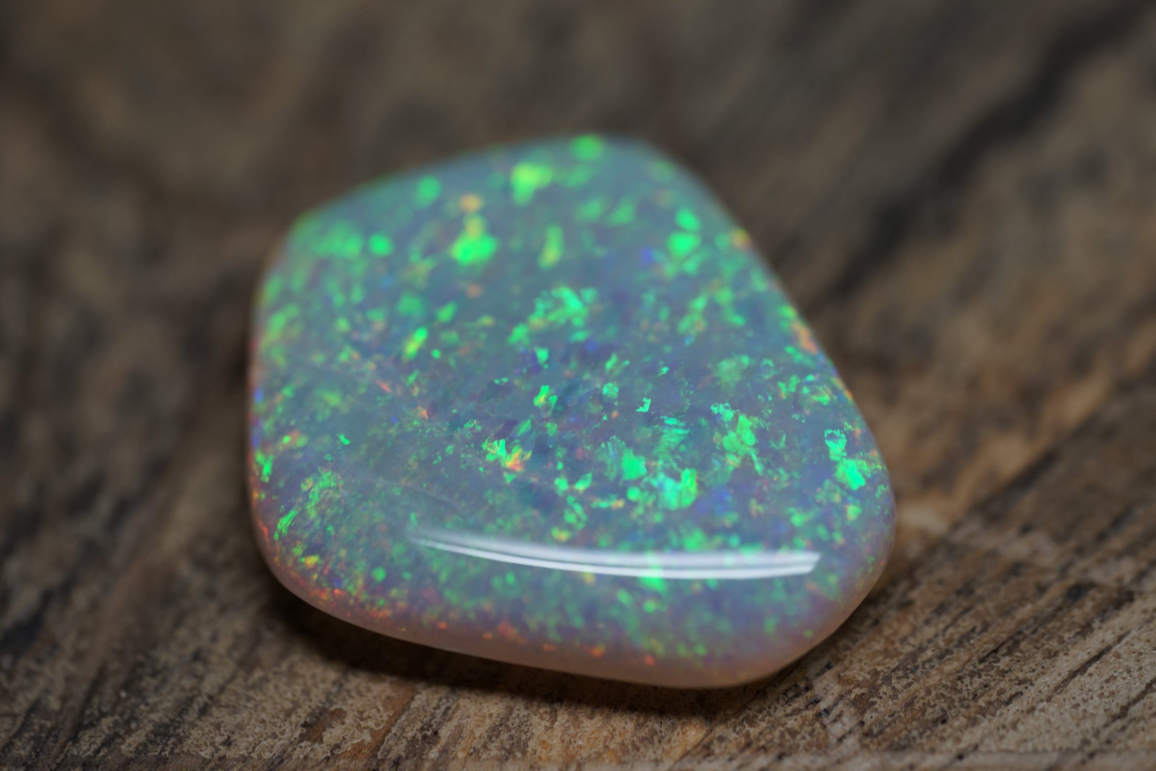13.4 Carat Lambina Shield Gem Opal - 0092