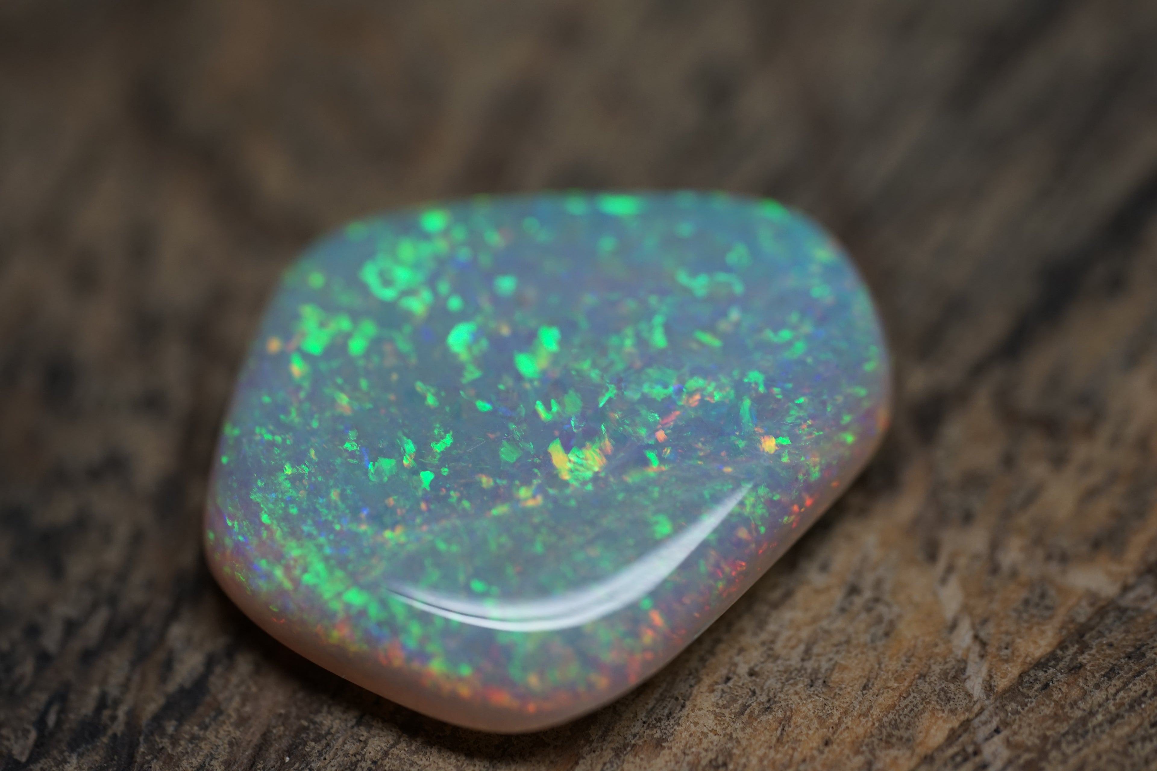 13.4 Carat Lambina Shield Gem Opal - 0092