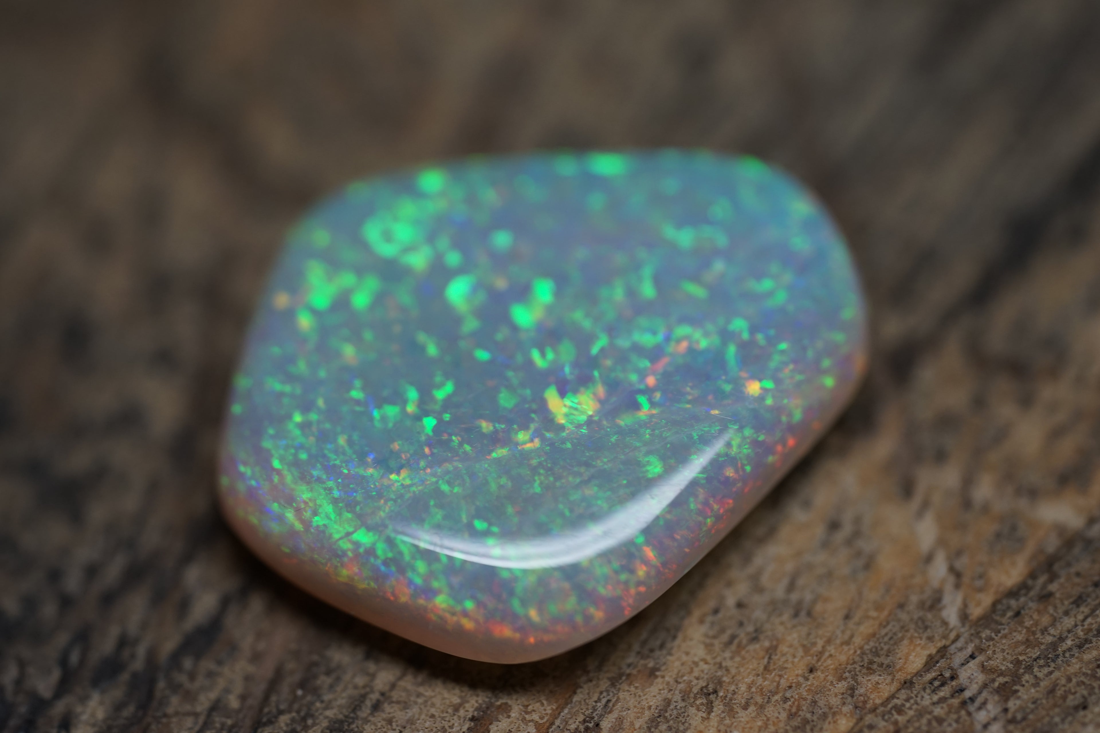 13.4 Carat Lambina Shield Gem Opal - 0092