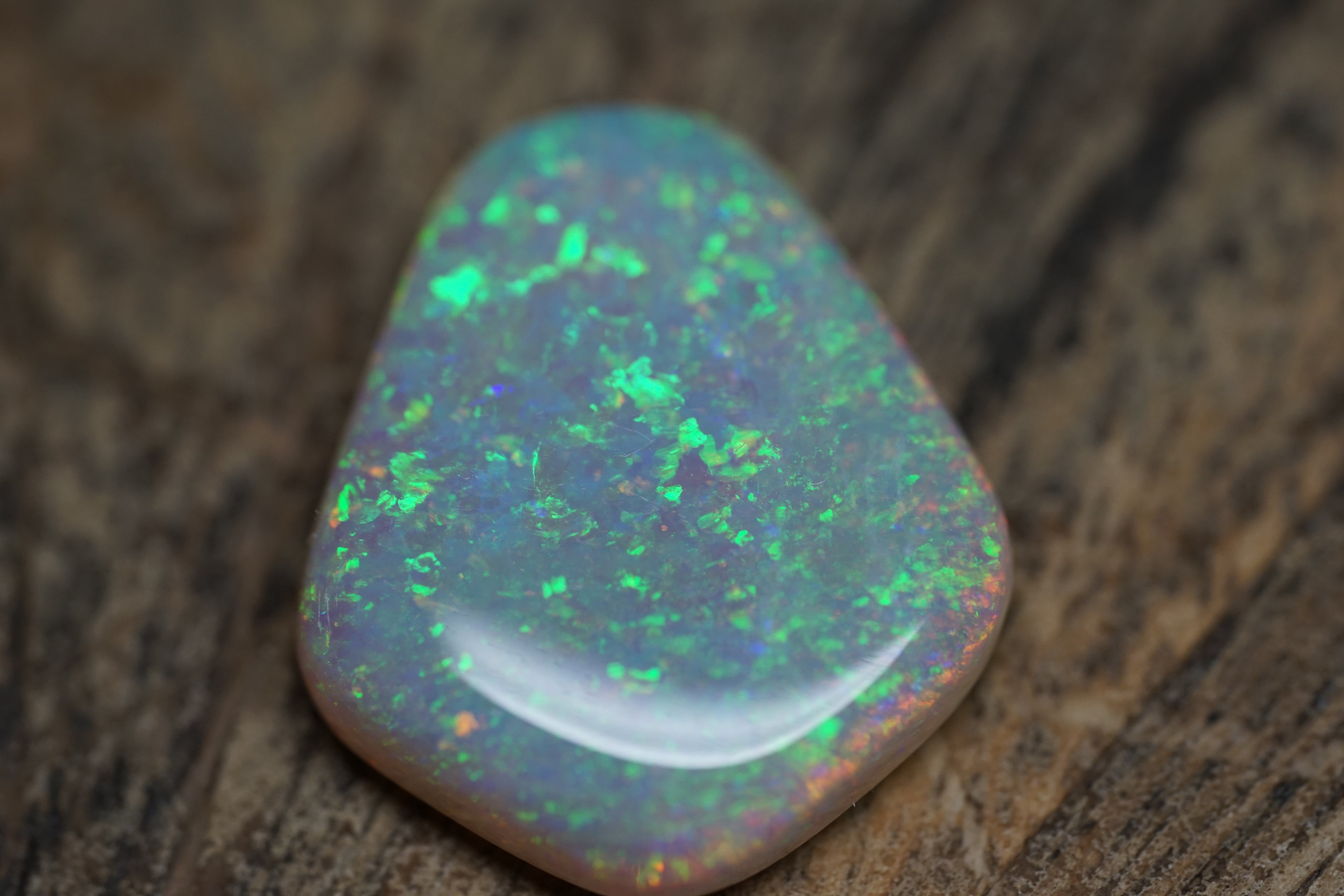 13.4 Carat Lambina Shield Gem Opal - 0092