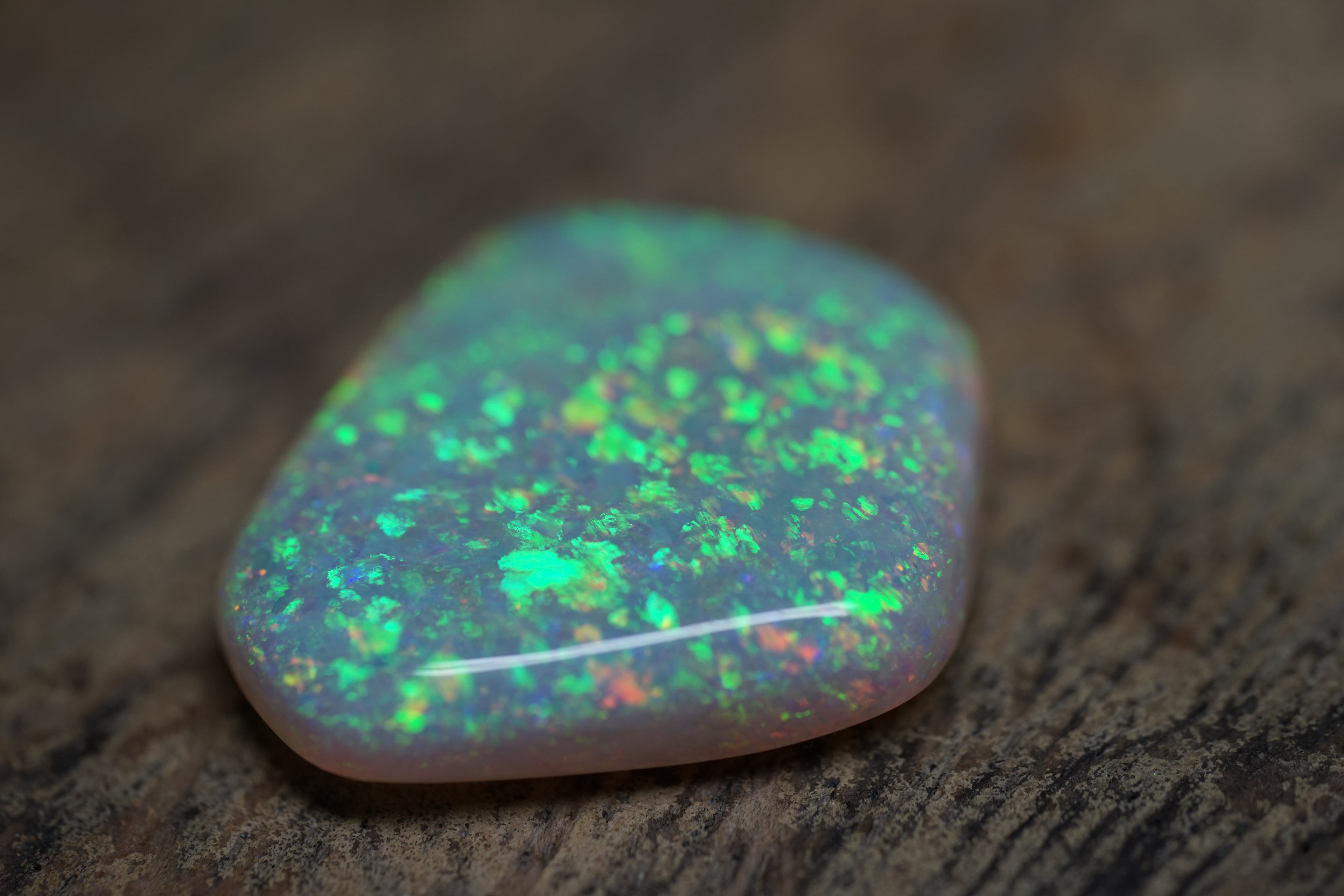 13.4 Carat Lambina Shield Gem Opal - 0092