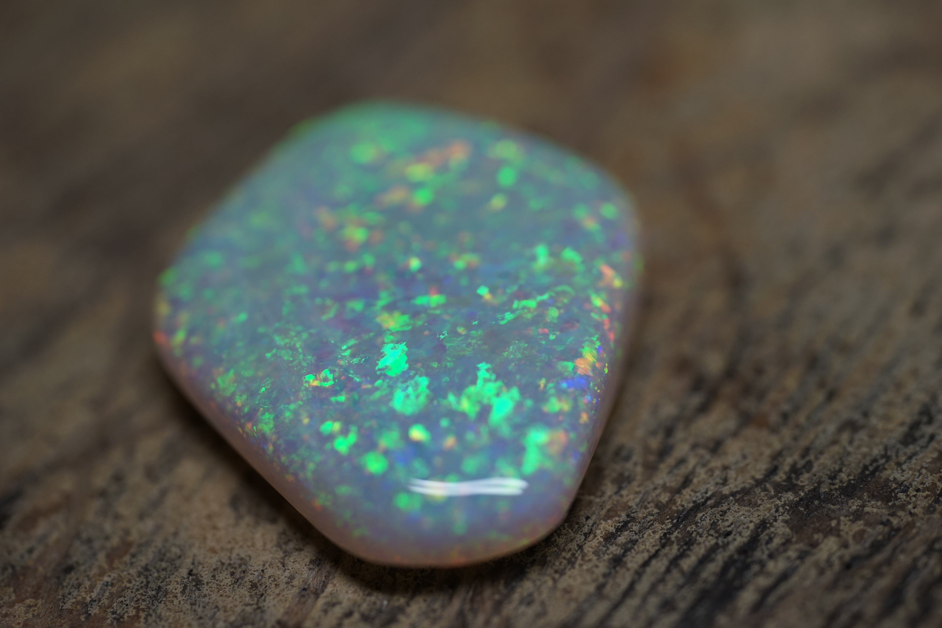 13.4 Carat Lambina Shield Gem Opal - 0092