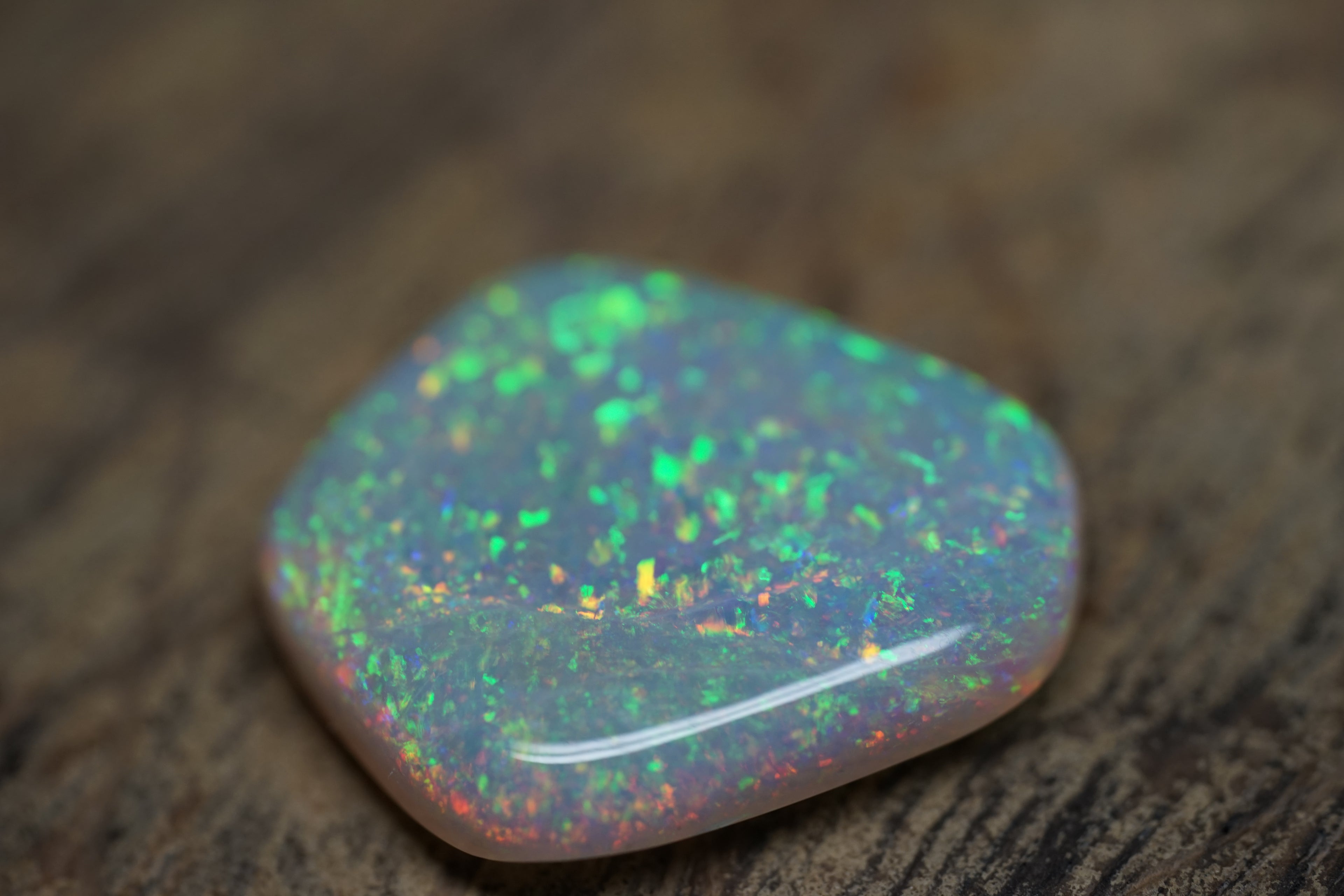 13.4 Carat Lambina Shield Gem Opal - 0092