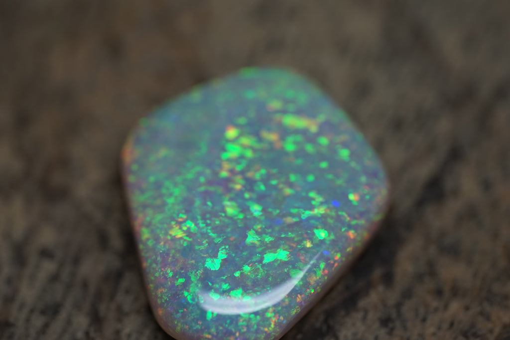 13.4 Carat Lambina Shield Gem Opal - 0092