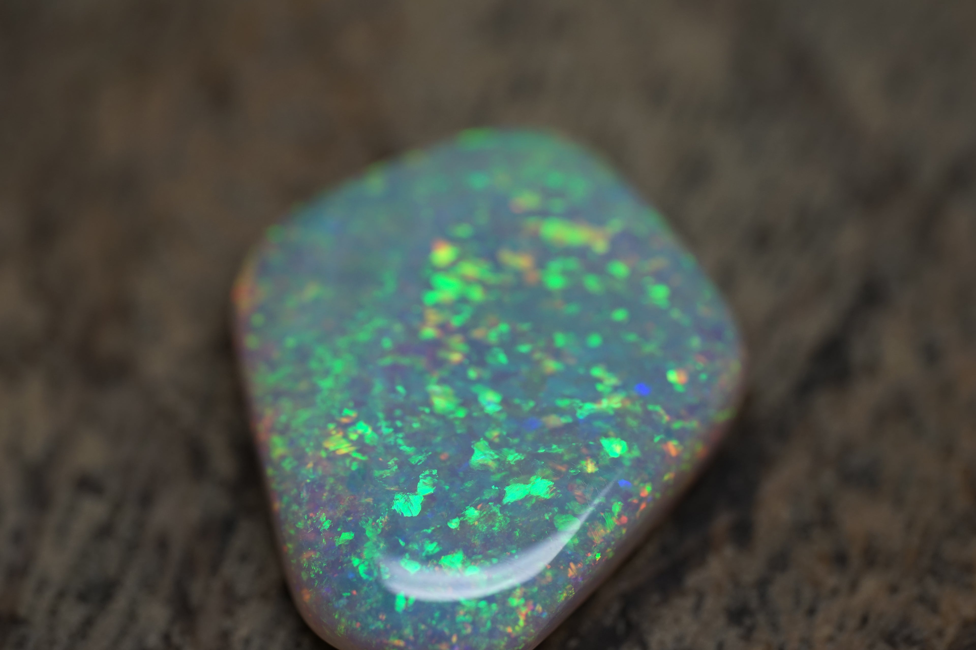 13.4 Carat Lambina Shield Gem Opal - 0092