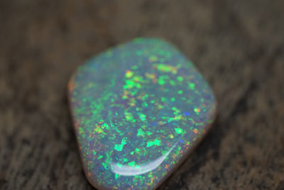 13.4 Carat Lambina Shield Gem Opal - 0092