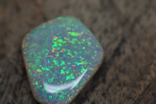 13.4 Carat Lambina Shield Gem Opal - 0092