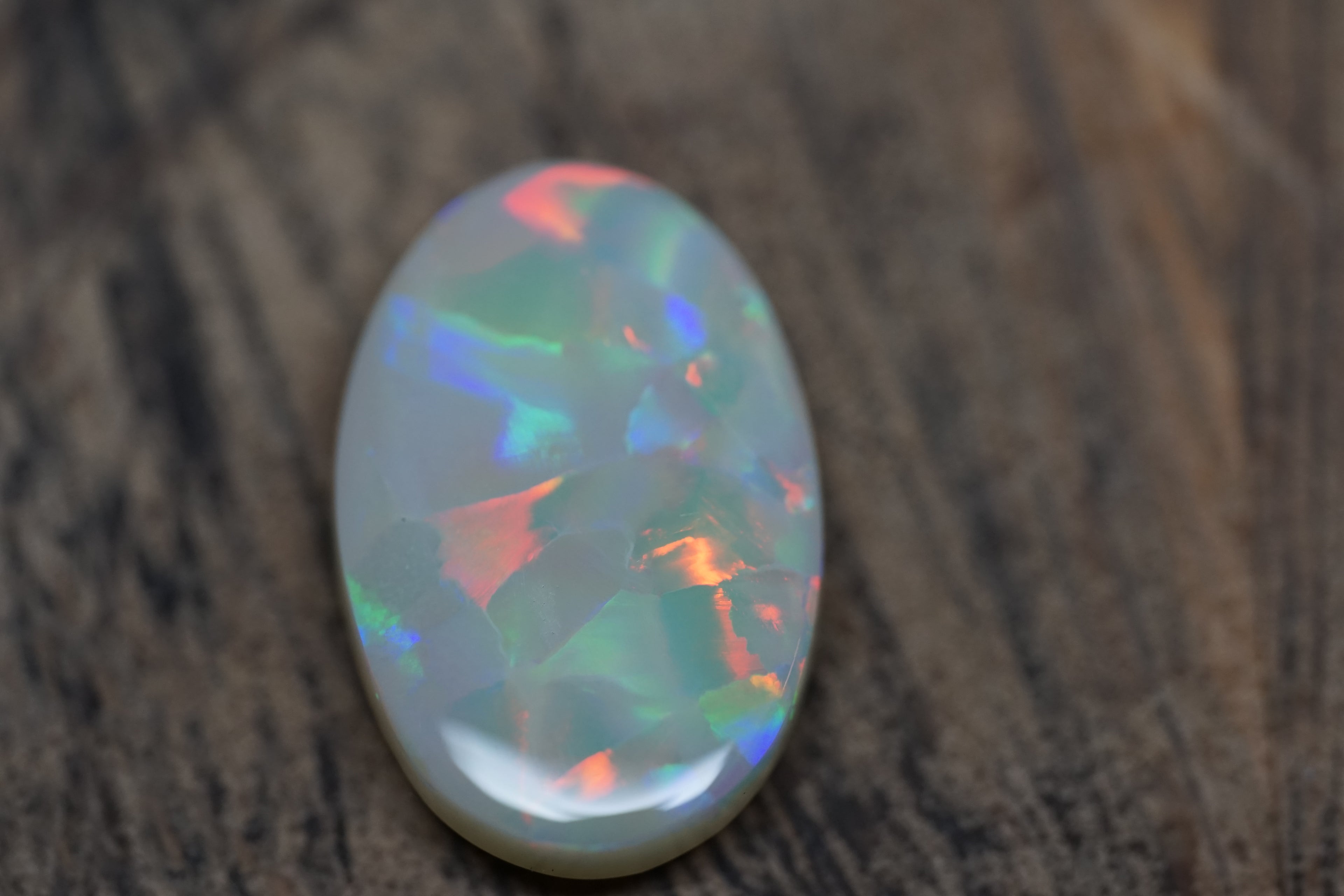 Lightning Ridge Grey Base - Harlequin Pattern 8.7 Carats 0098