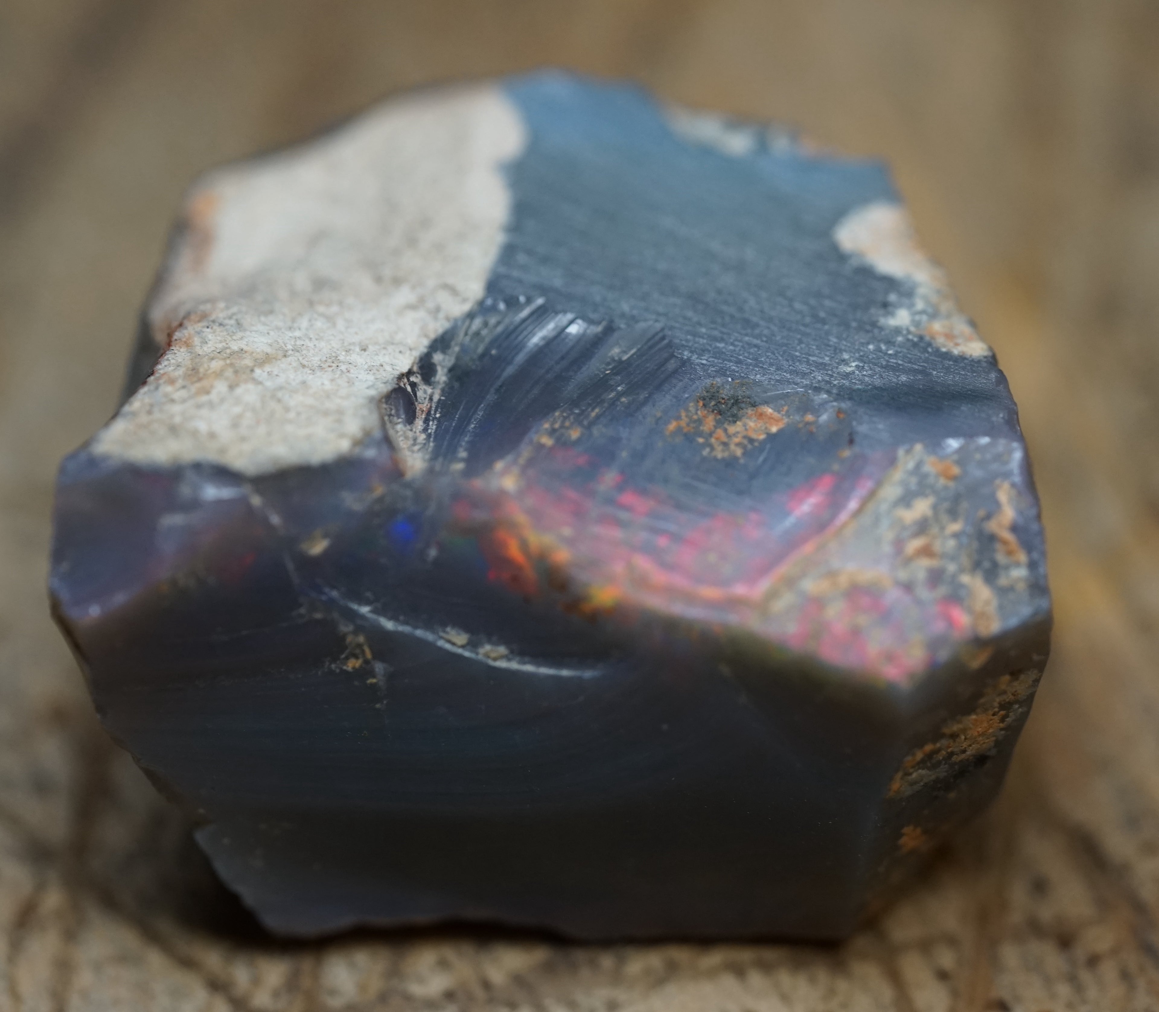 Black Lambina Specimen - 83 Carats. 0007