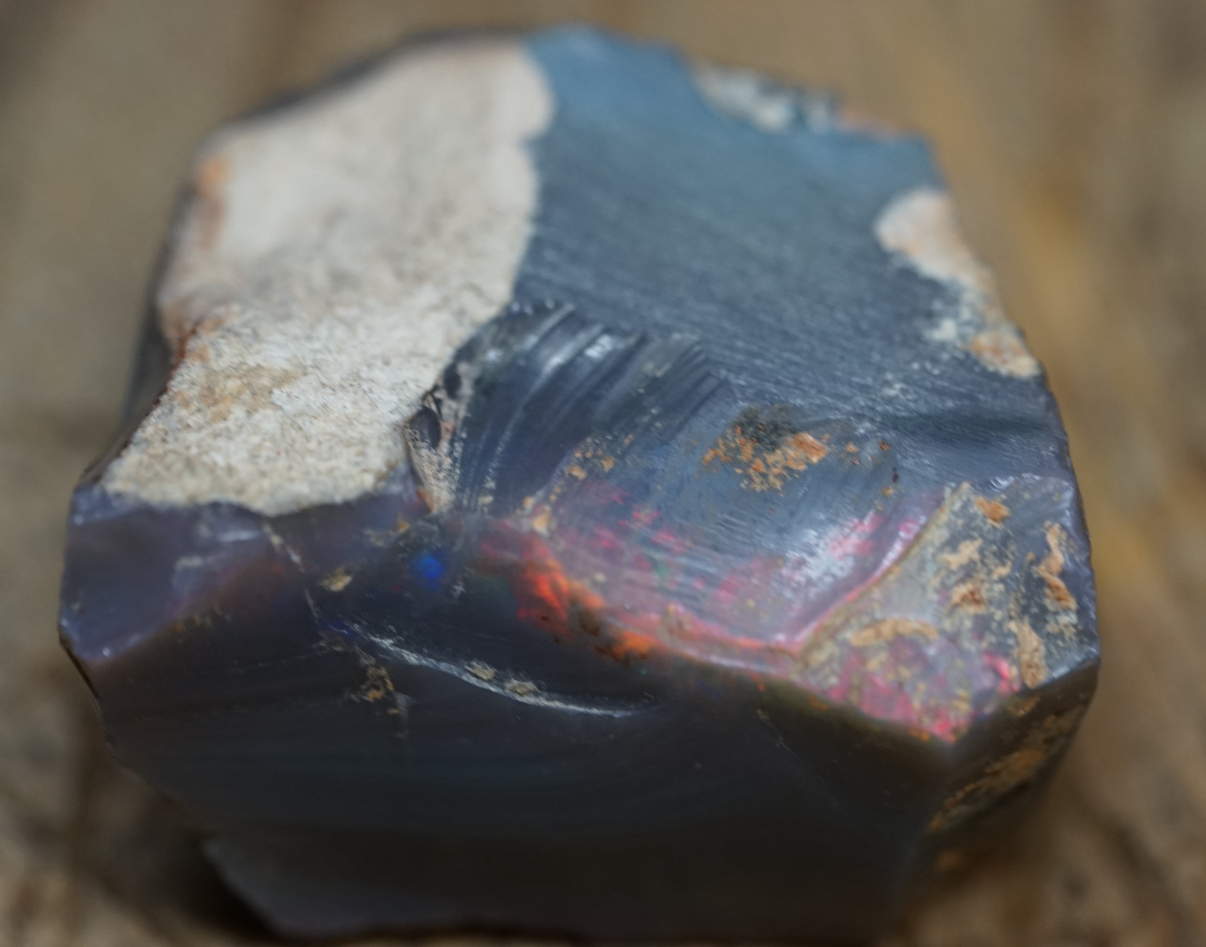 Black Lambina Specimen - 83 Carats. 0007