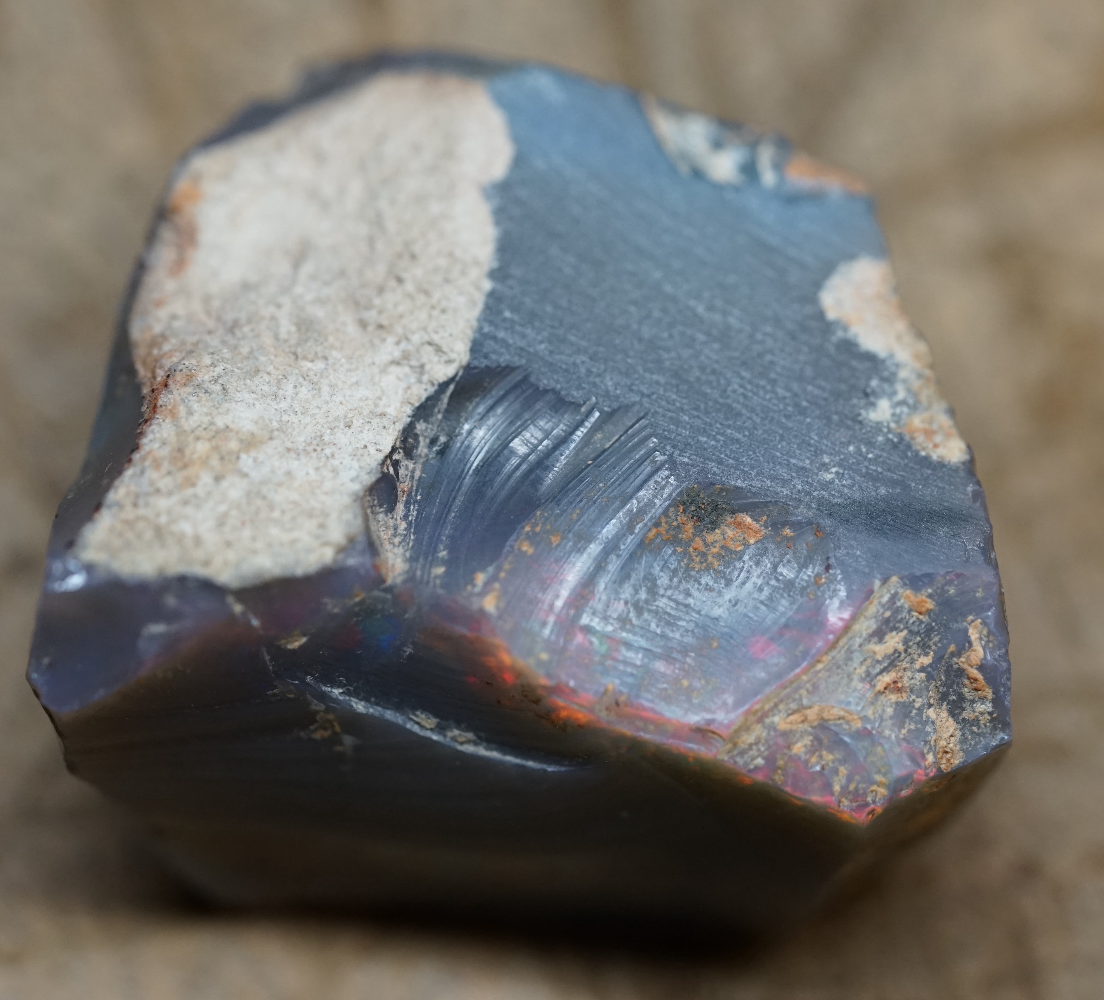Black Lambina Specimen - 83 Carats. 0007