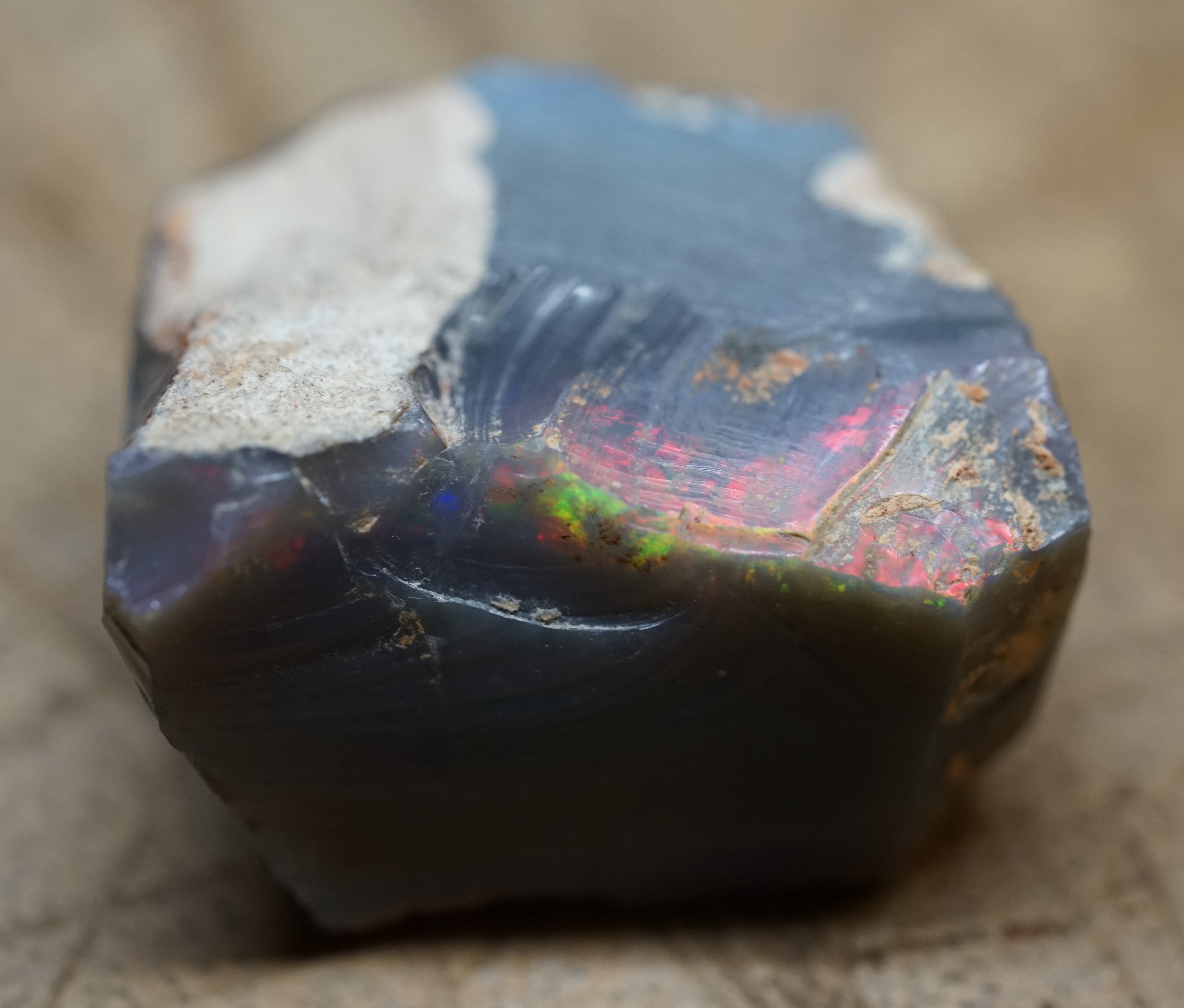 Black Lambina Specimen - 83 Carats. 0007