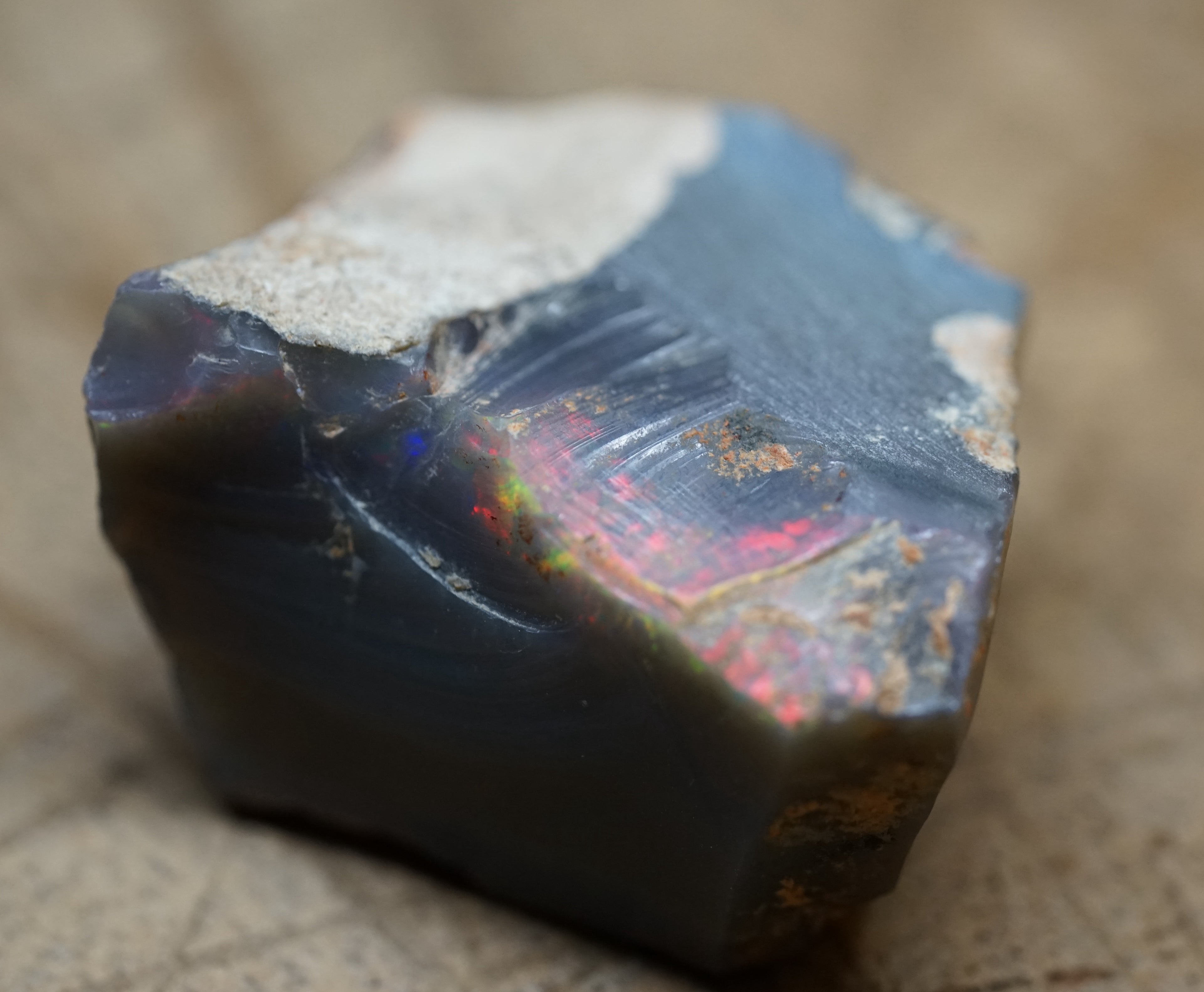 Black Lambina Specimen - 83 Carats. 0007