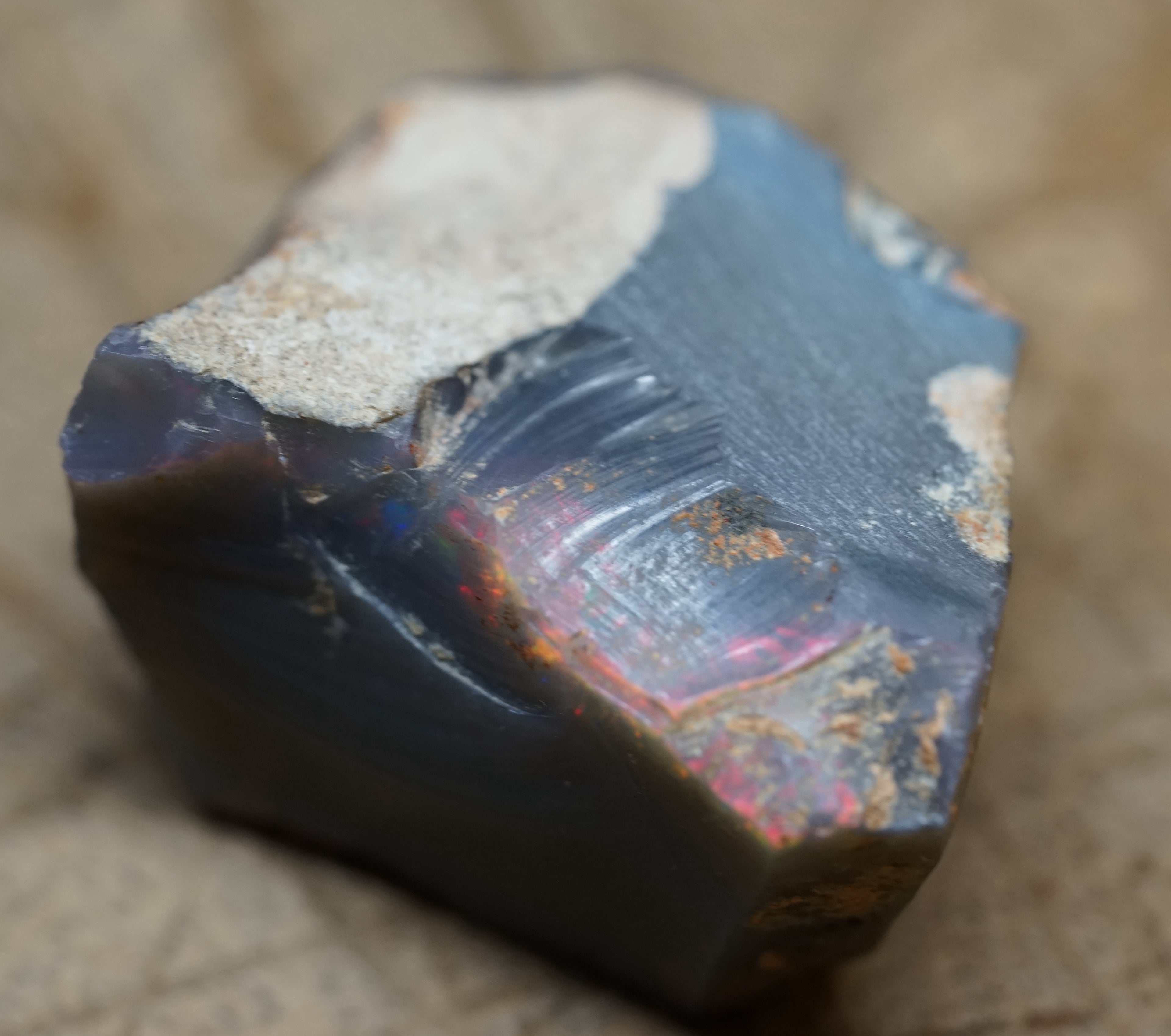 Black Lambina Specimen - 83 Carats. 0007