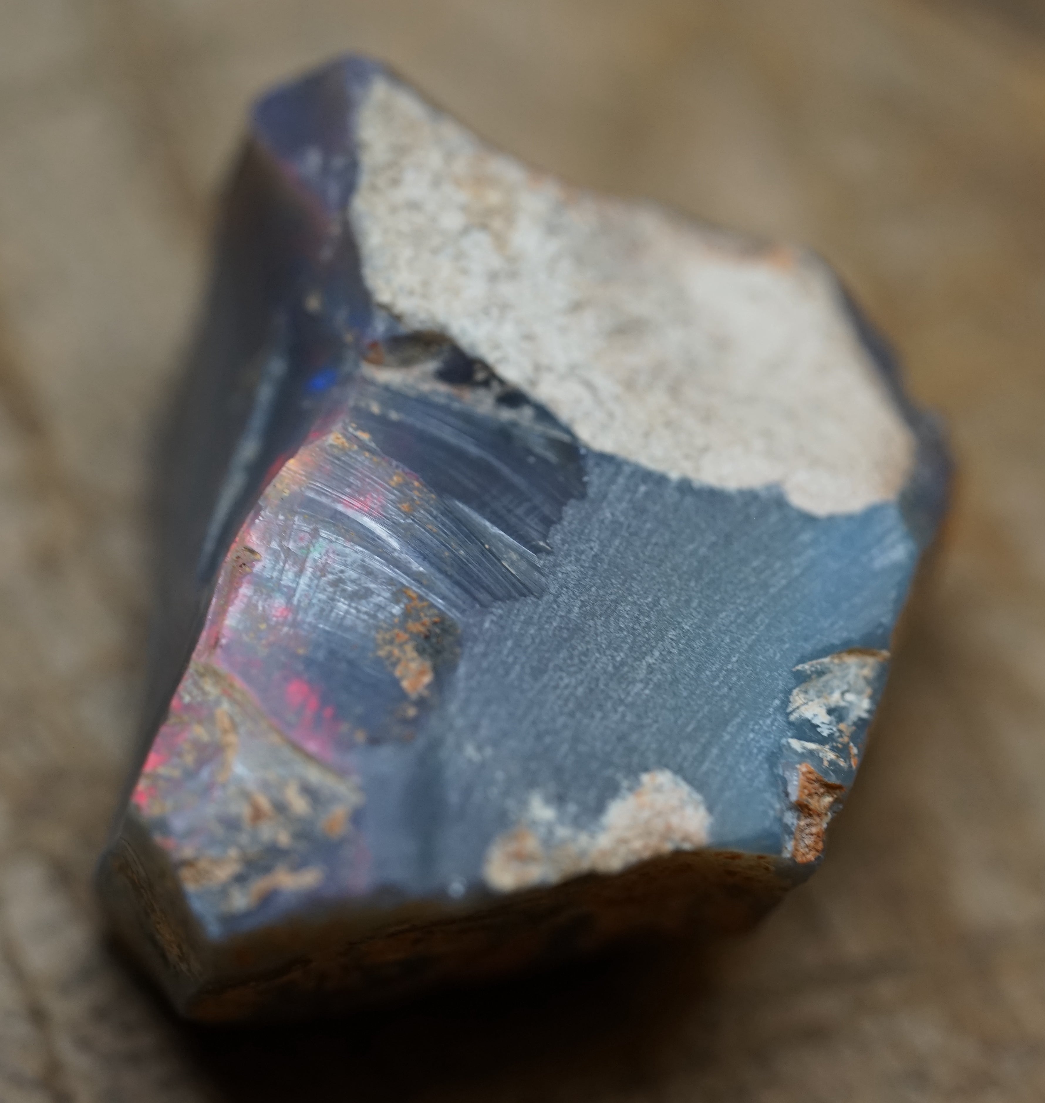 Black Lambina Specimen - 83 Carats. 0007