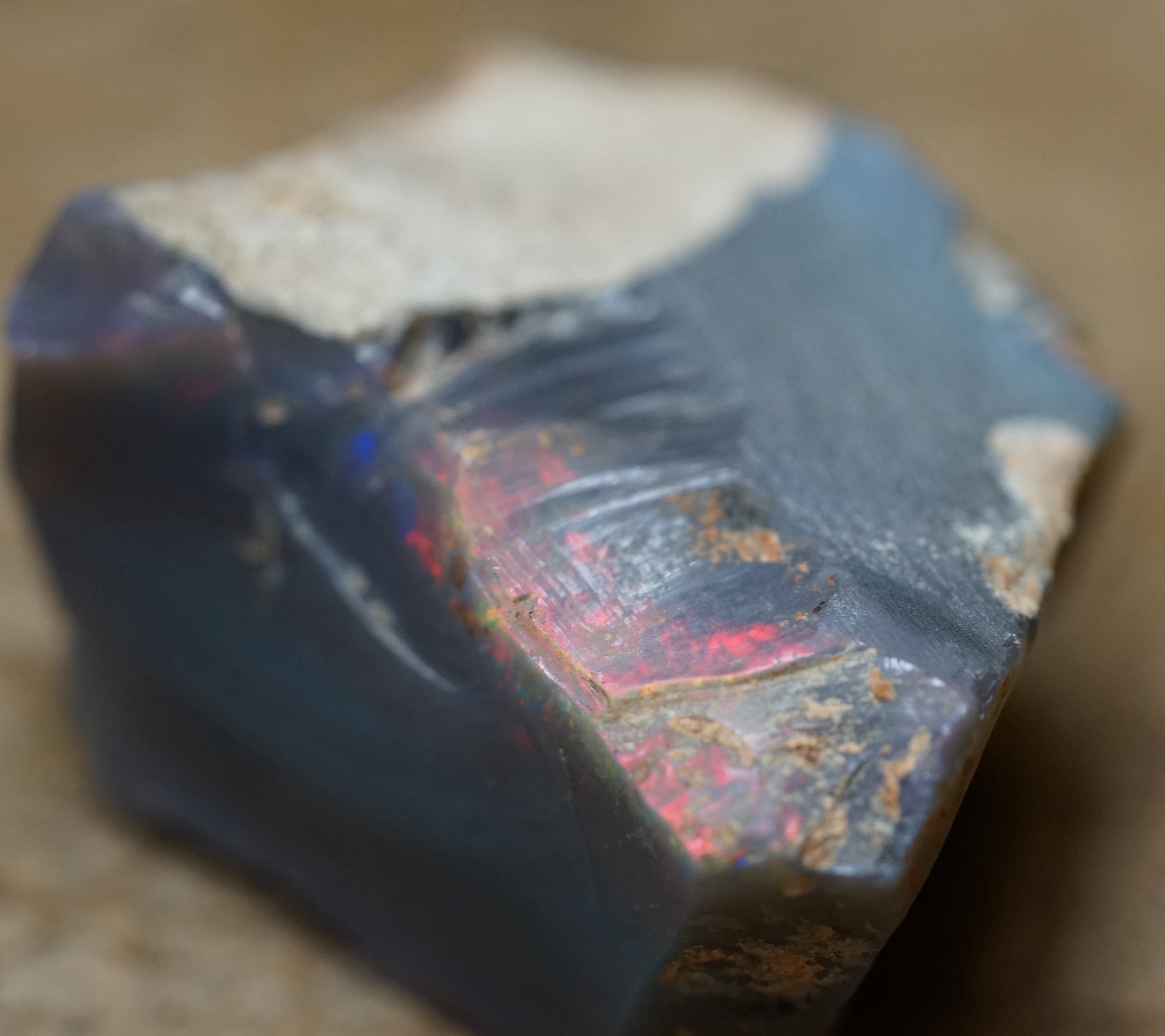 Black Lambina Specimen - 83 Carats. 0007